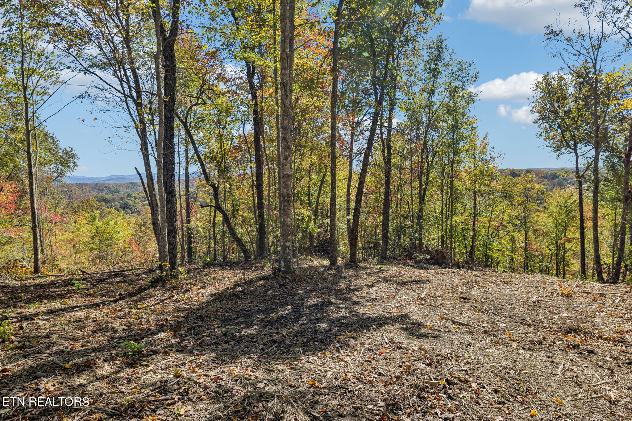 Sheep Ranch Road Robbins TN 37852