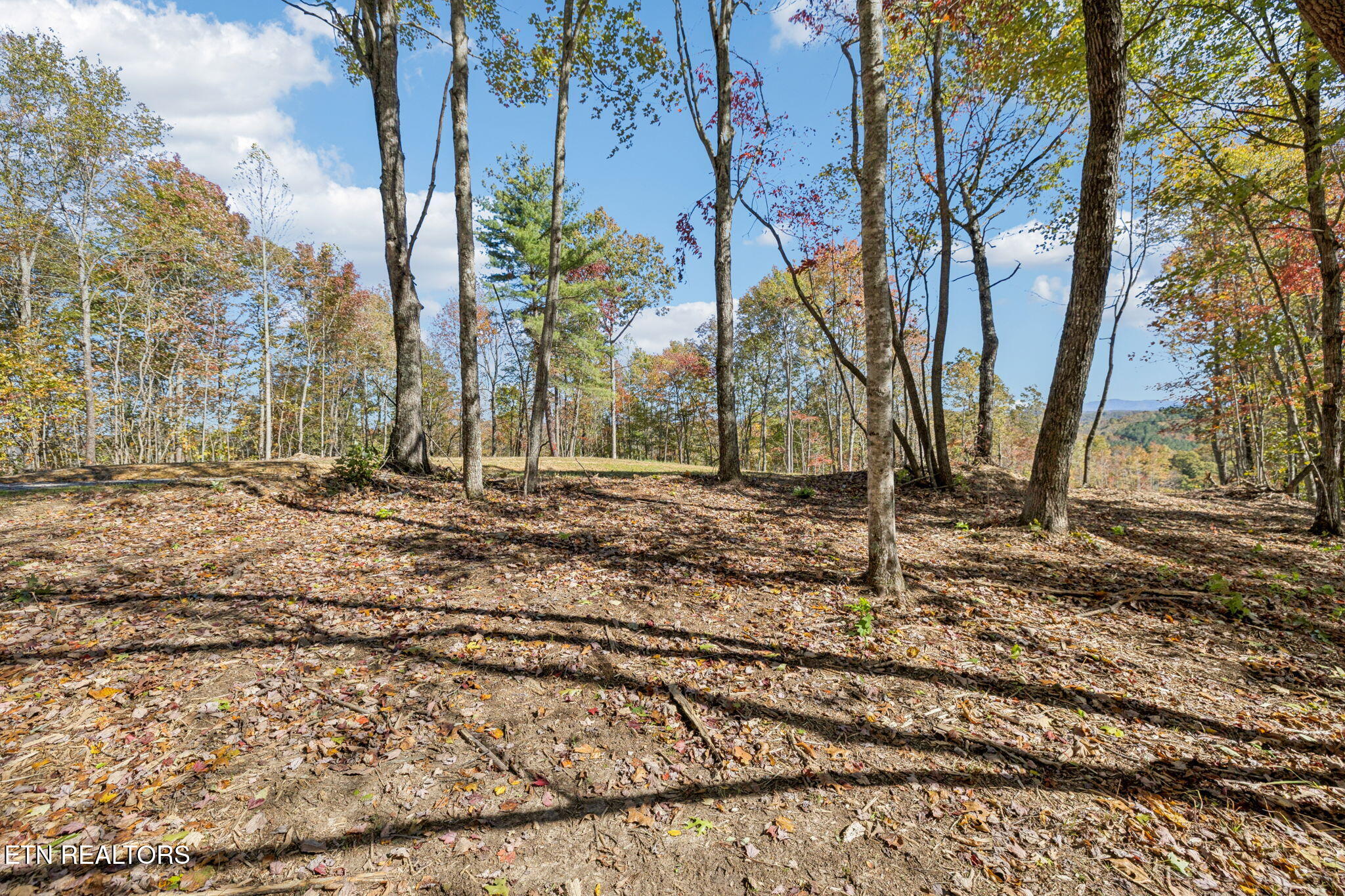 Sheep Ranch Road Robbins TN 37852