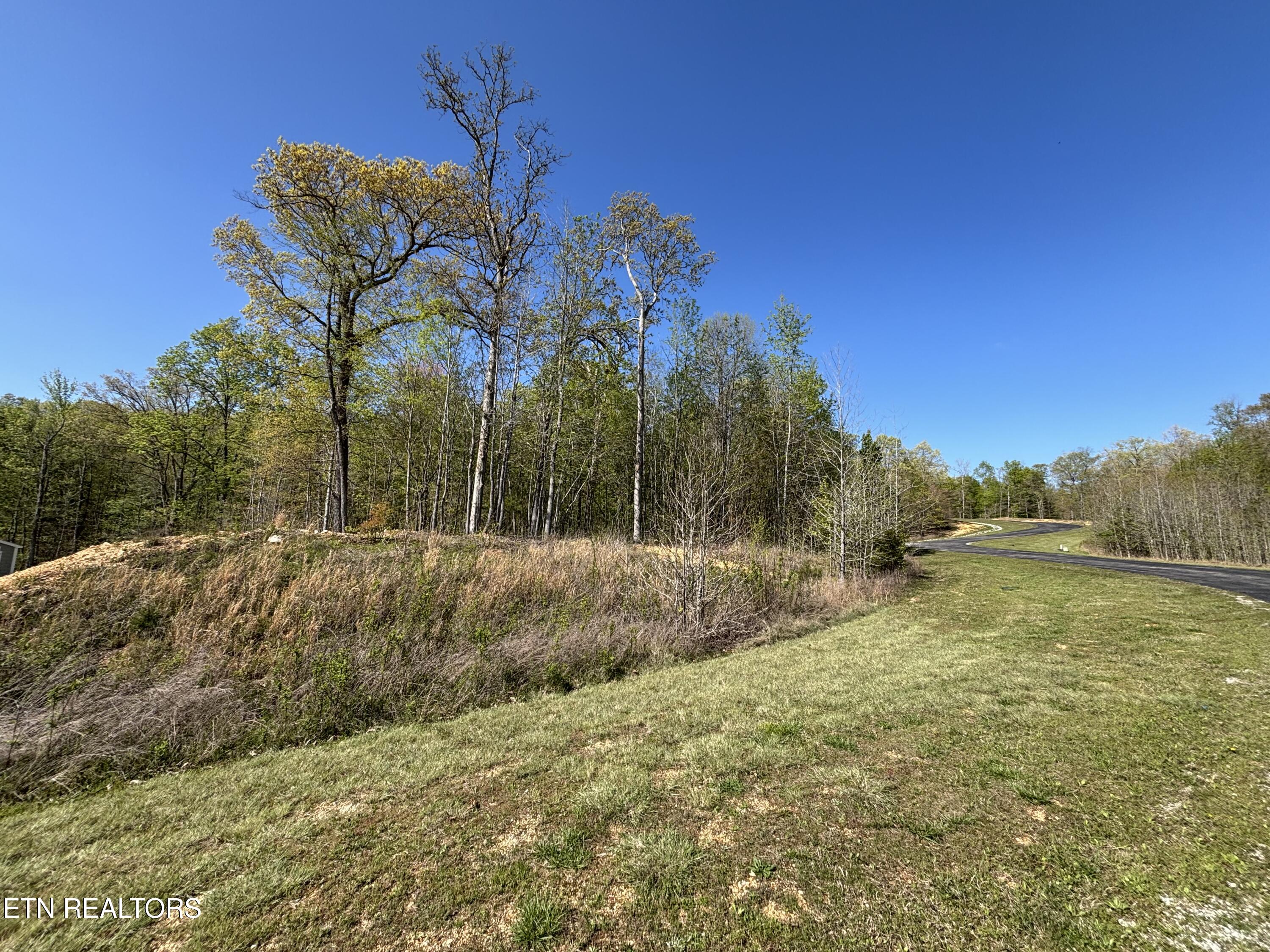 Thief Neck View Drive Rockwood TN 37854