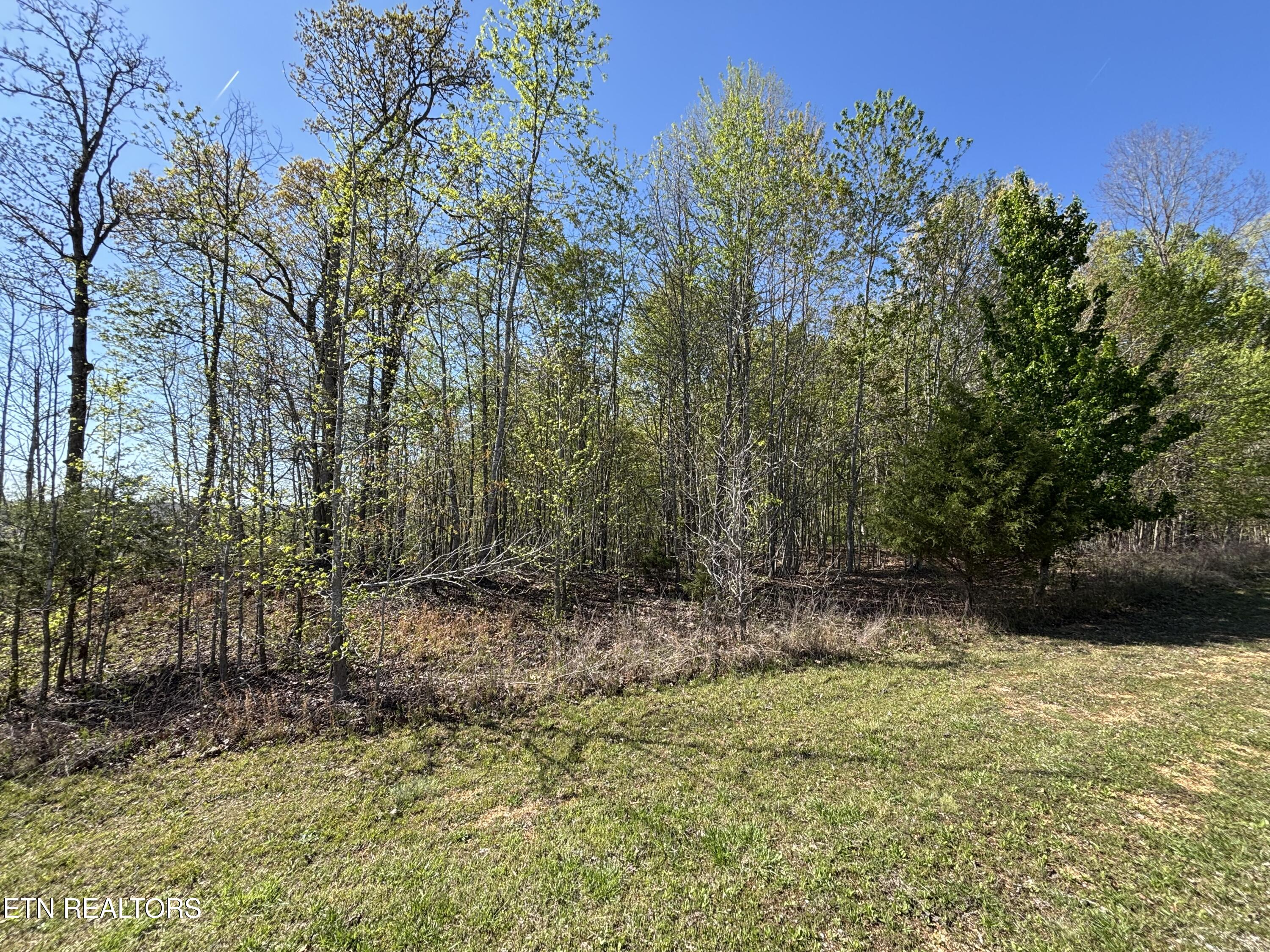 Thief Neck View Drive Rockwood TN 37854