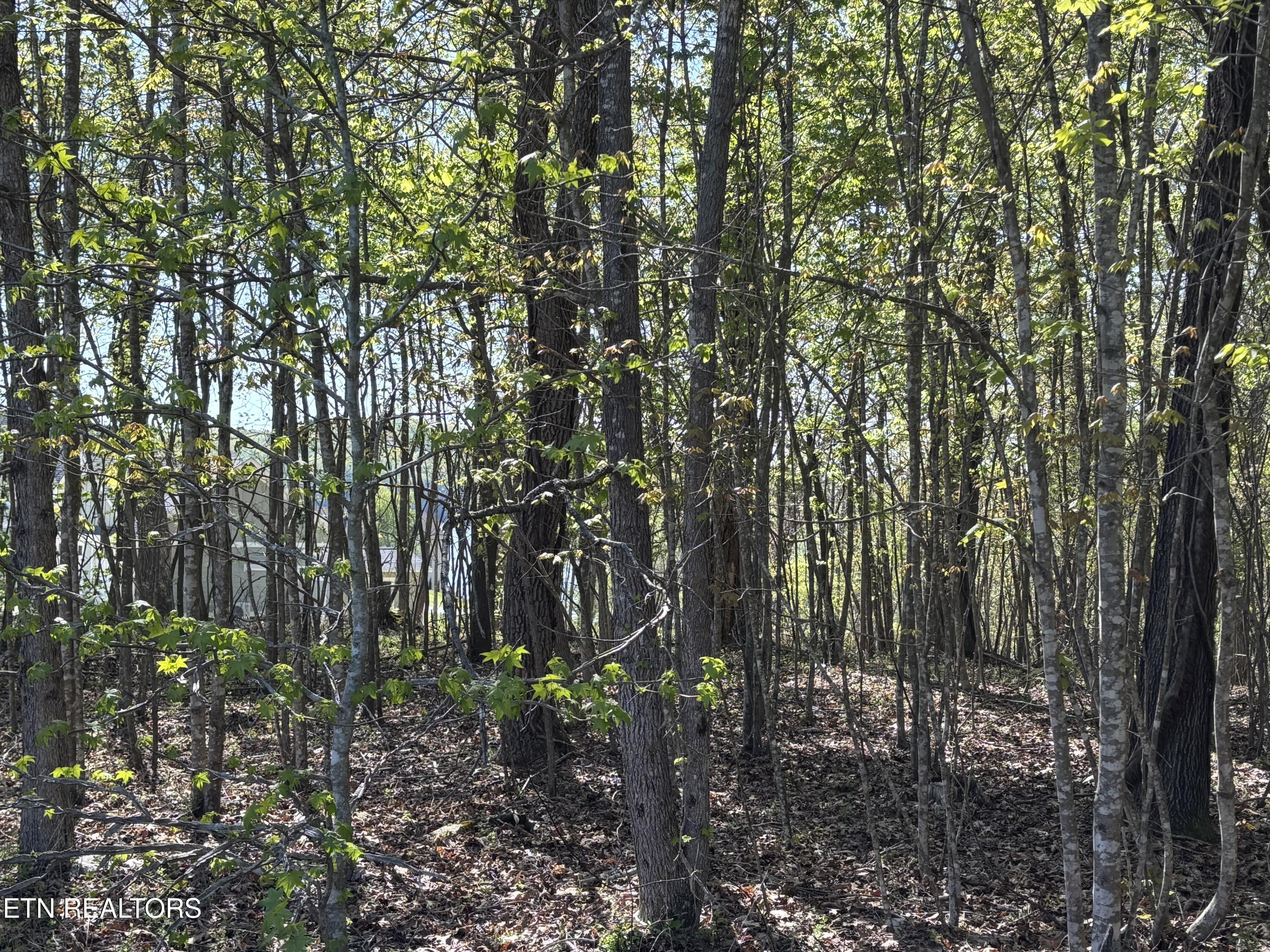 Thief Neck View Drive Rockwood TN 37854