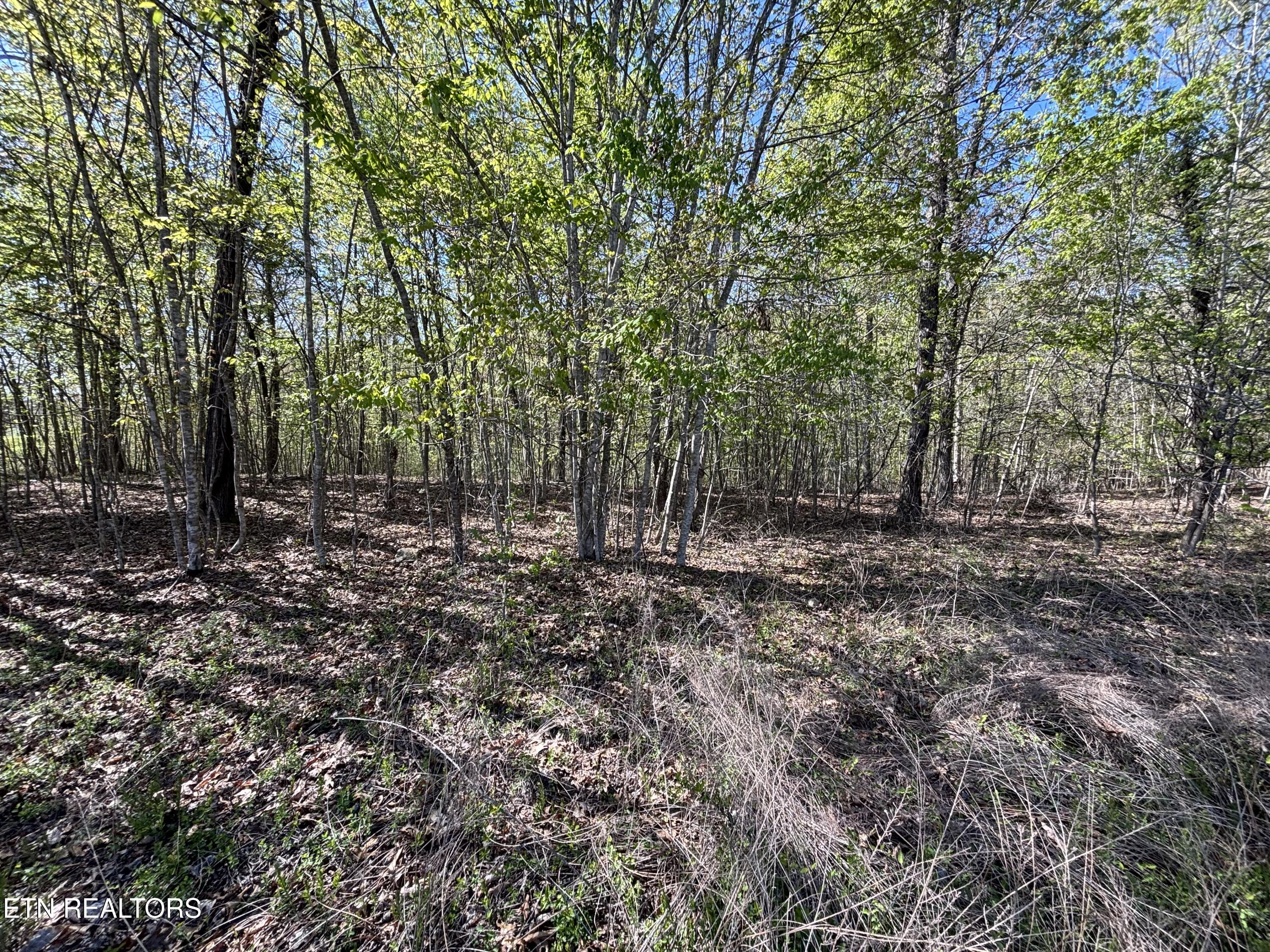 Thief Neck View Drive Rockwood TN 37854
