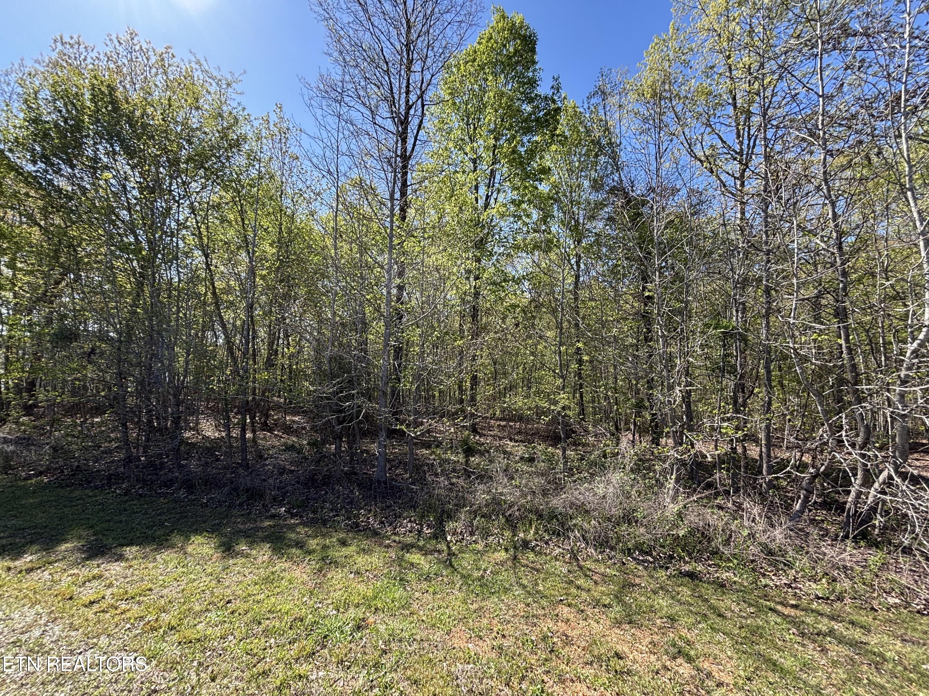 Thief Neck View Drive Rockwood TN 37854