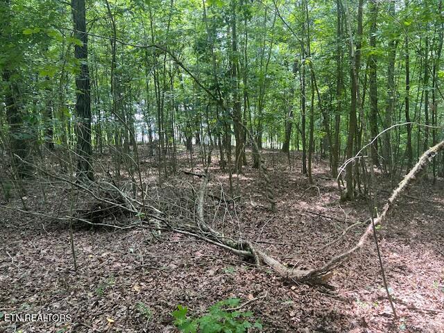 Thief Neck View Drive Rockwood TN 37854