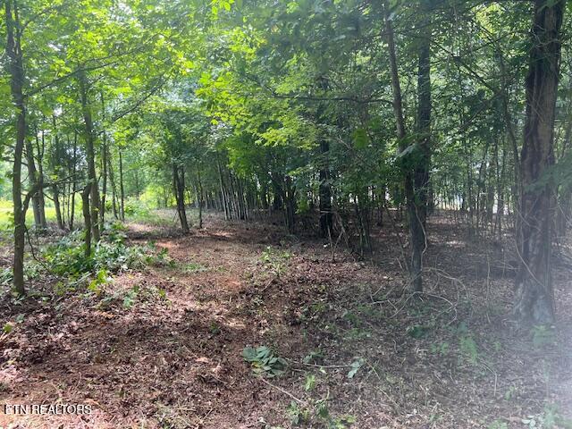 Thief Neck View Drive Rockwood TN 37854