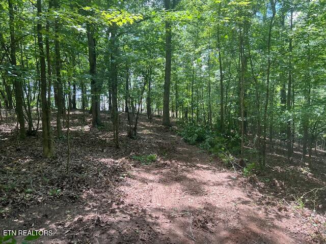 Thief Neck View Drive Rockwood TN 37854