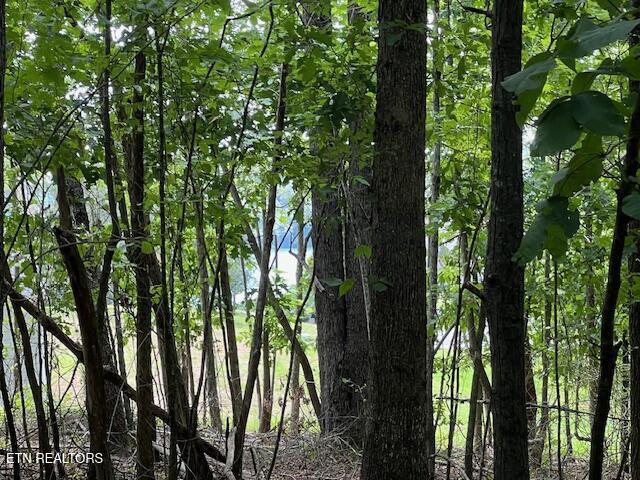 Thief Neck View Drive Rockwood TN 37854