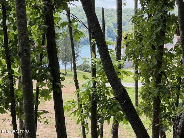 Thief Neck View Drive Rockwood TN 37854