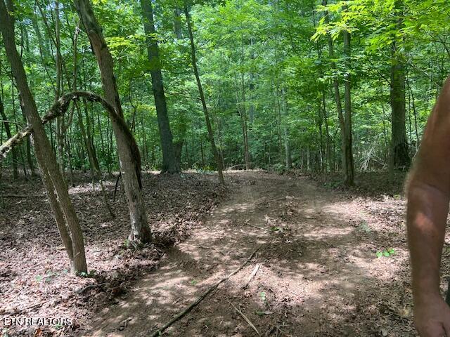 Thief Neck View Drive Rockwood TN 37854