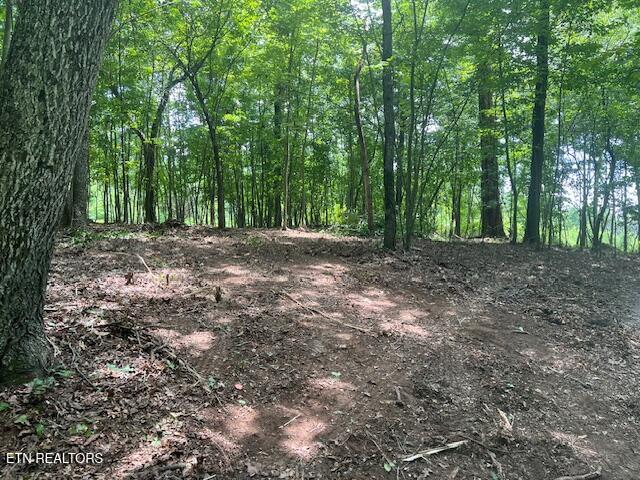Thief Neck View Drive Rockwood TN 37854