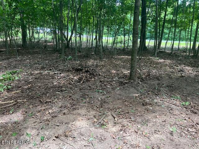 Thief Neck View Drive Rockwood TN 37854