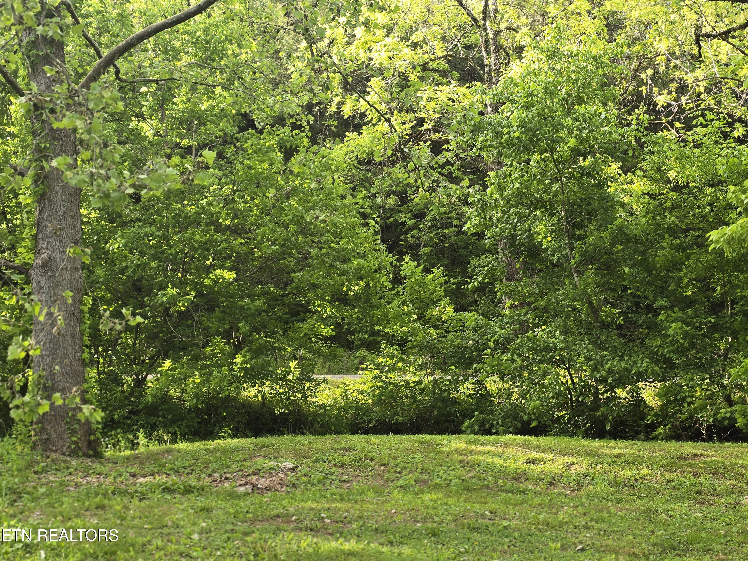 2615 Stoney Fork Road Sneedville TN 37869