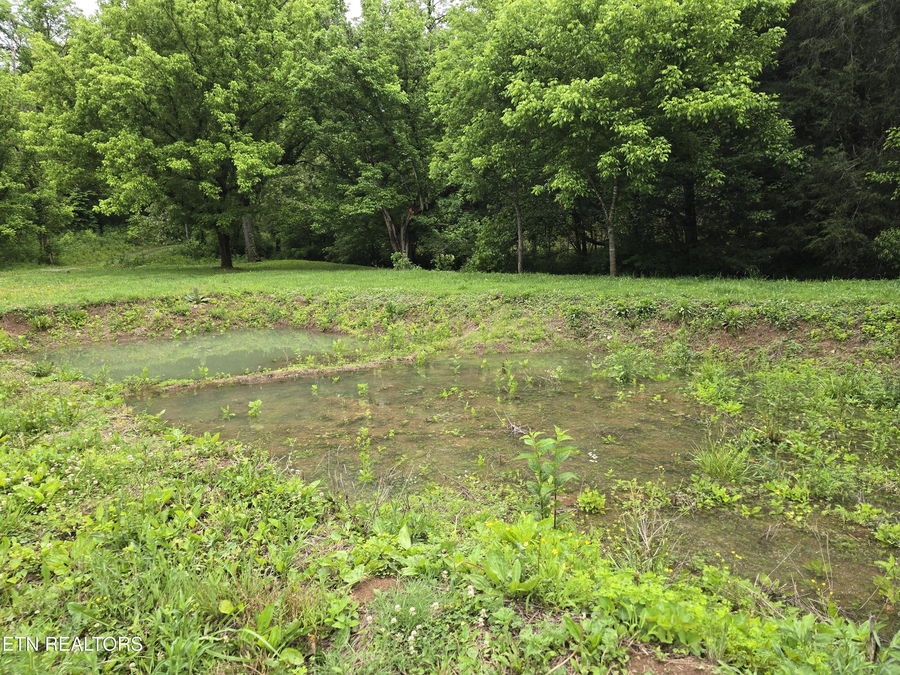 2615 Stoney Fork Road Sneedville TN 37869
