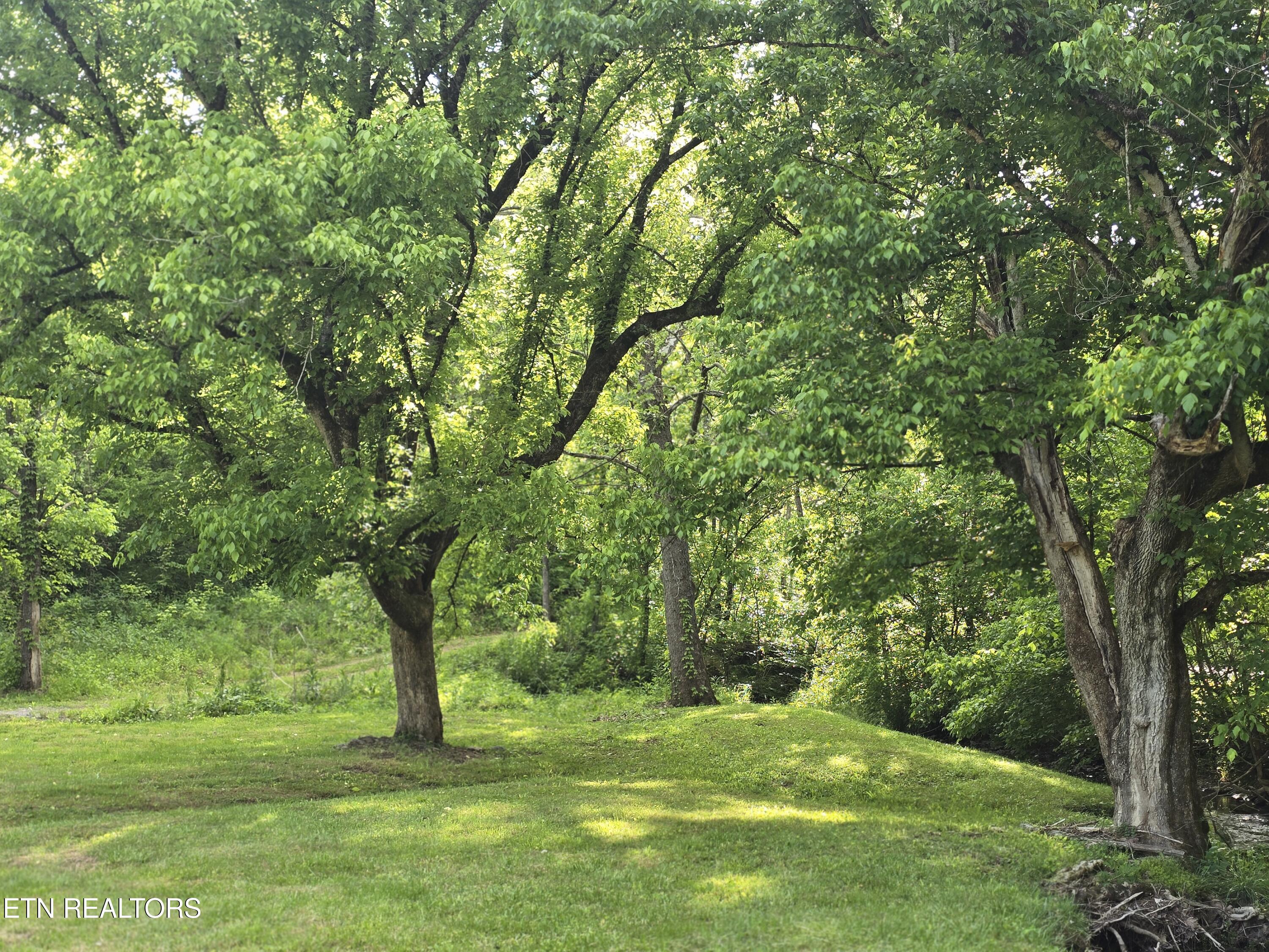 2615 Stoney Fork Road Sneedville TN 37869