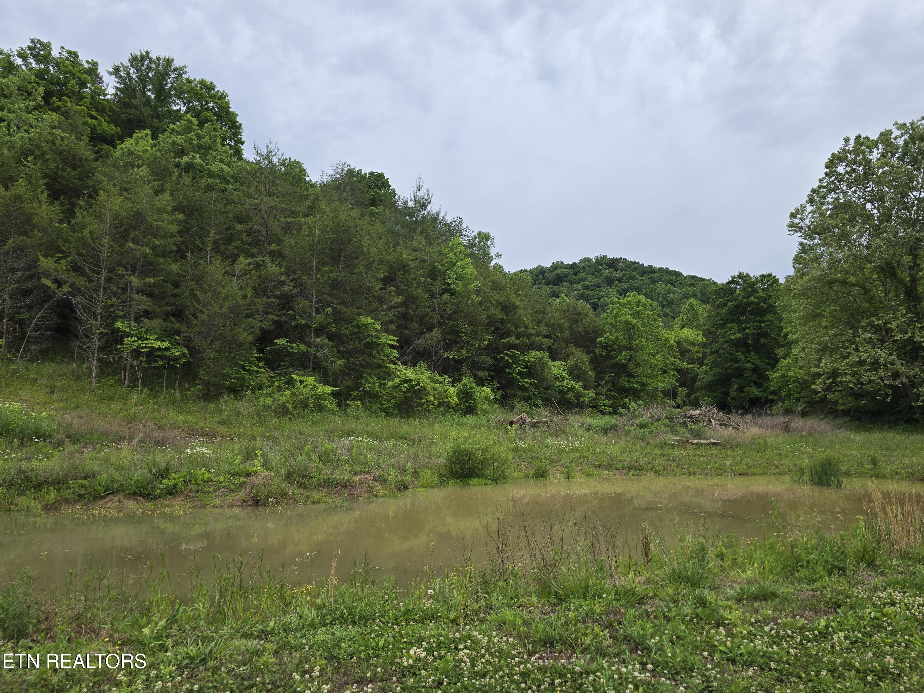 2615 Stoney Fork Road Sneedville TN 37869