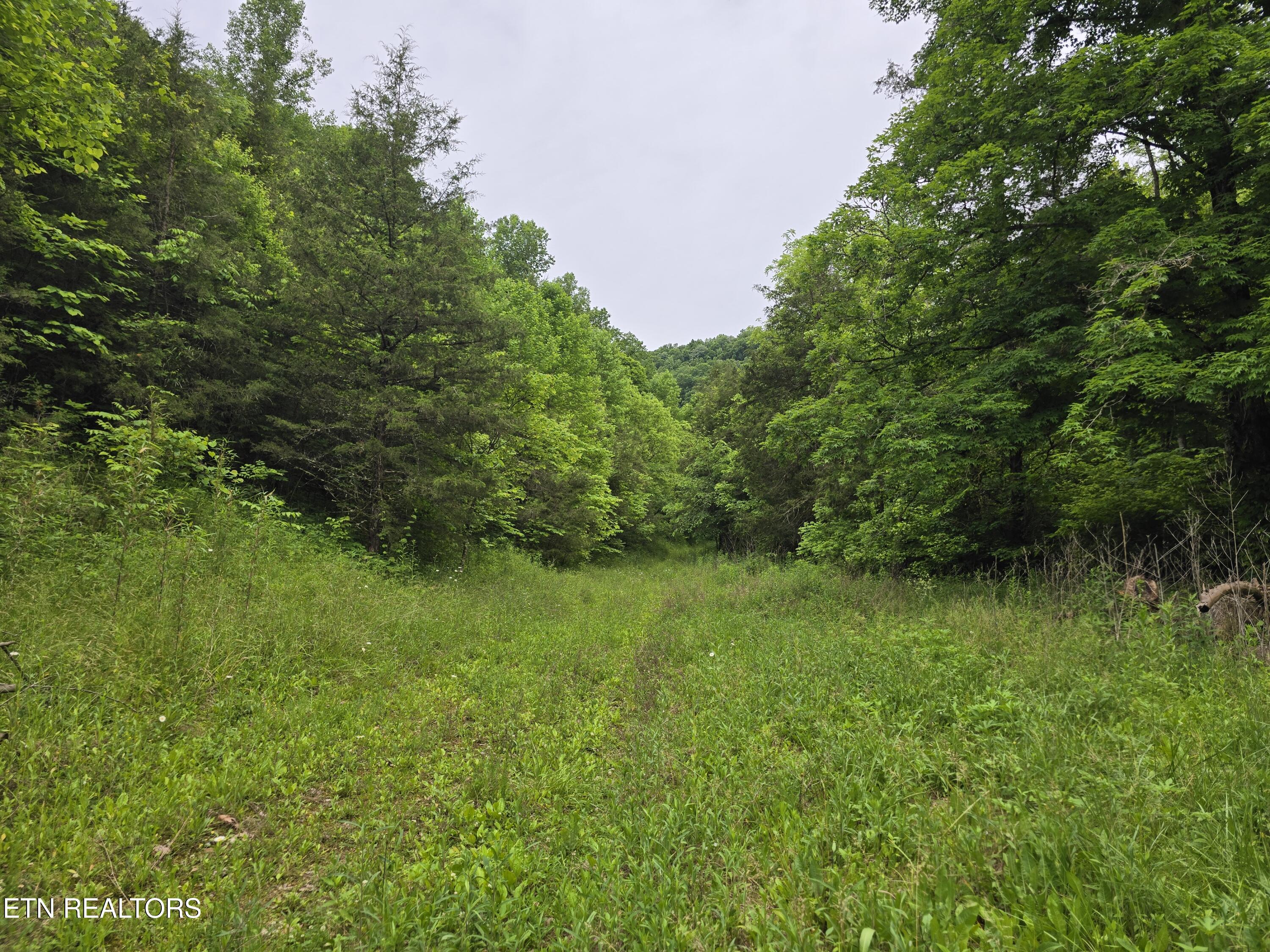 2615 Stoney Fork Road Sneedville TN 37869