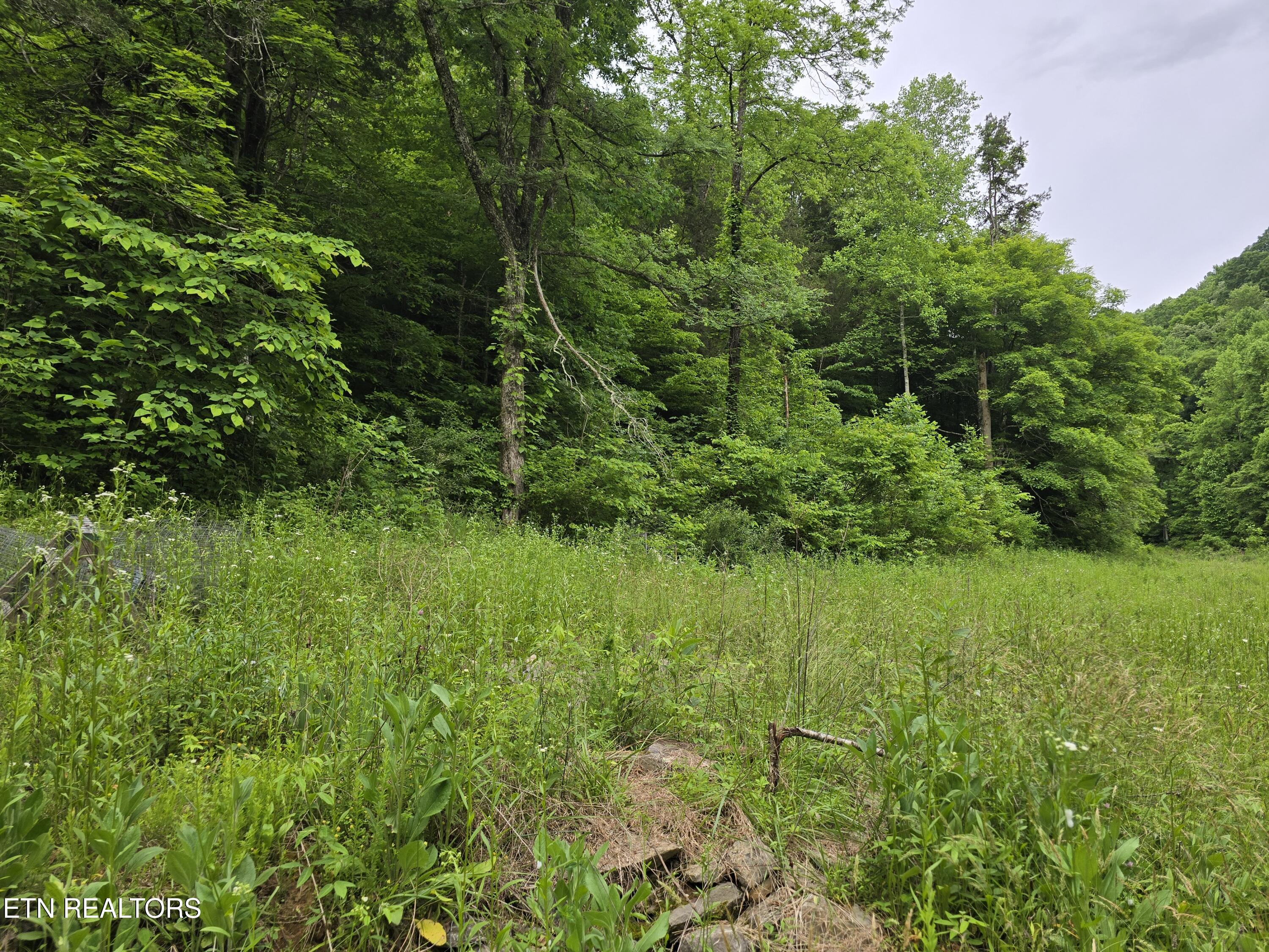2615 Stoney Fork Road Sneedville TN 37869