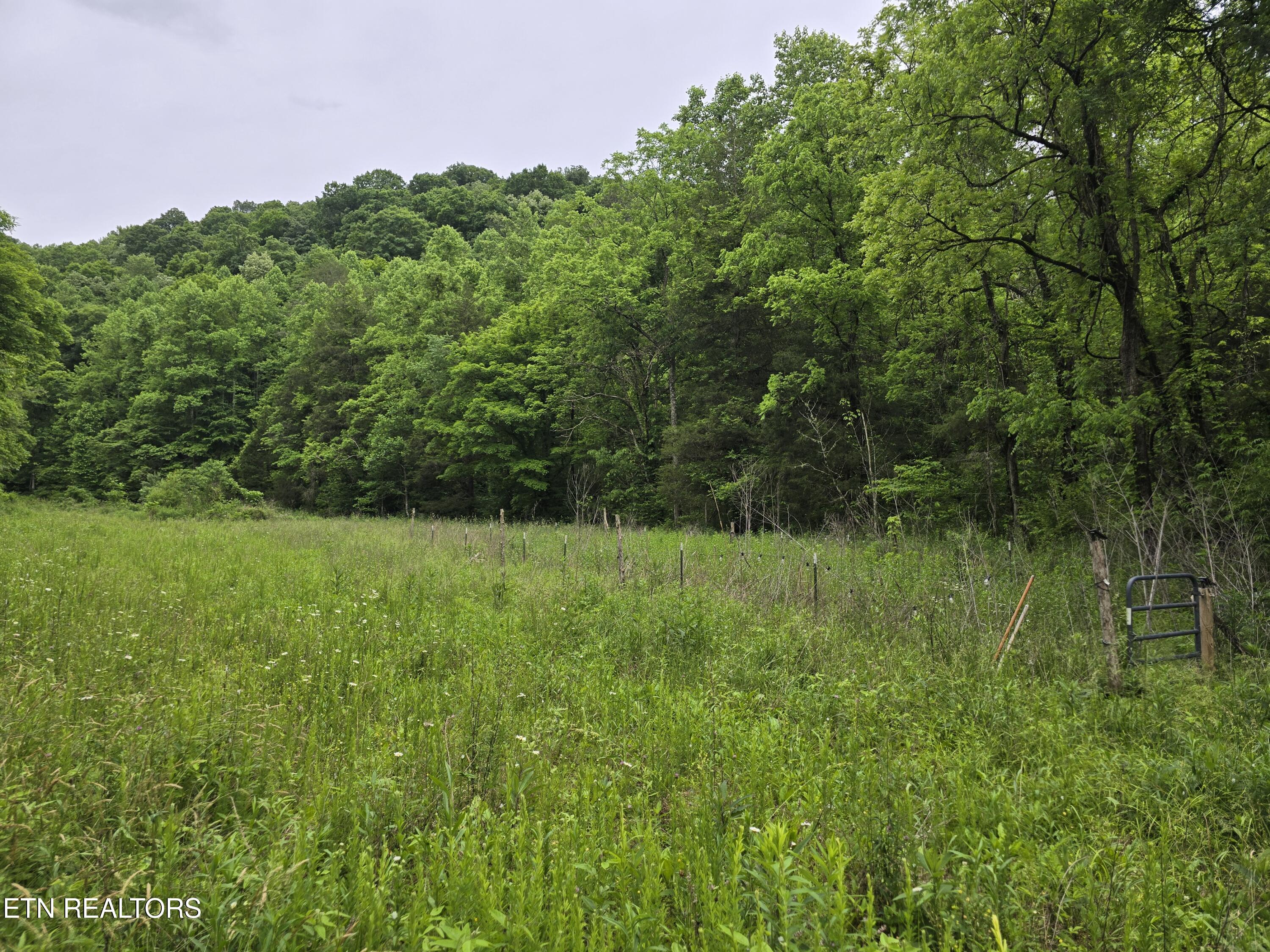 2615 Stoney Fork Road Sneedville TN 37869
