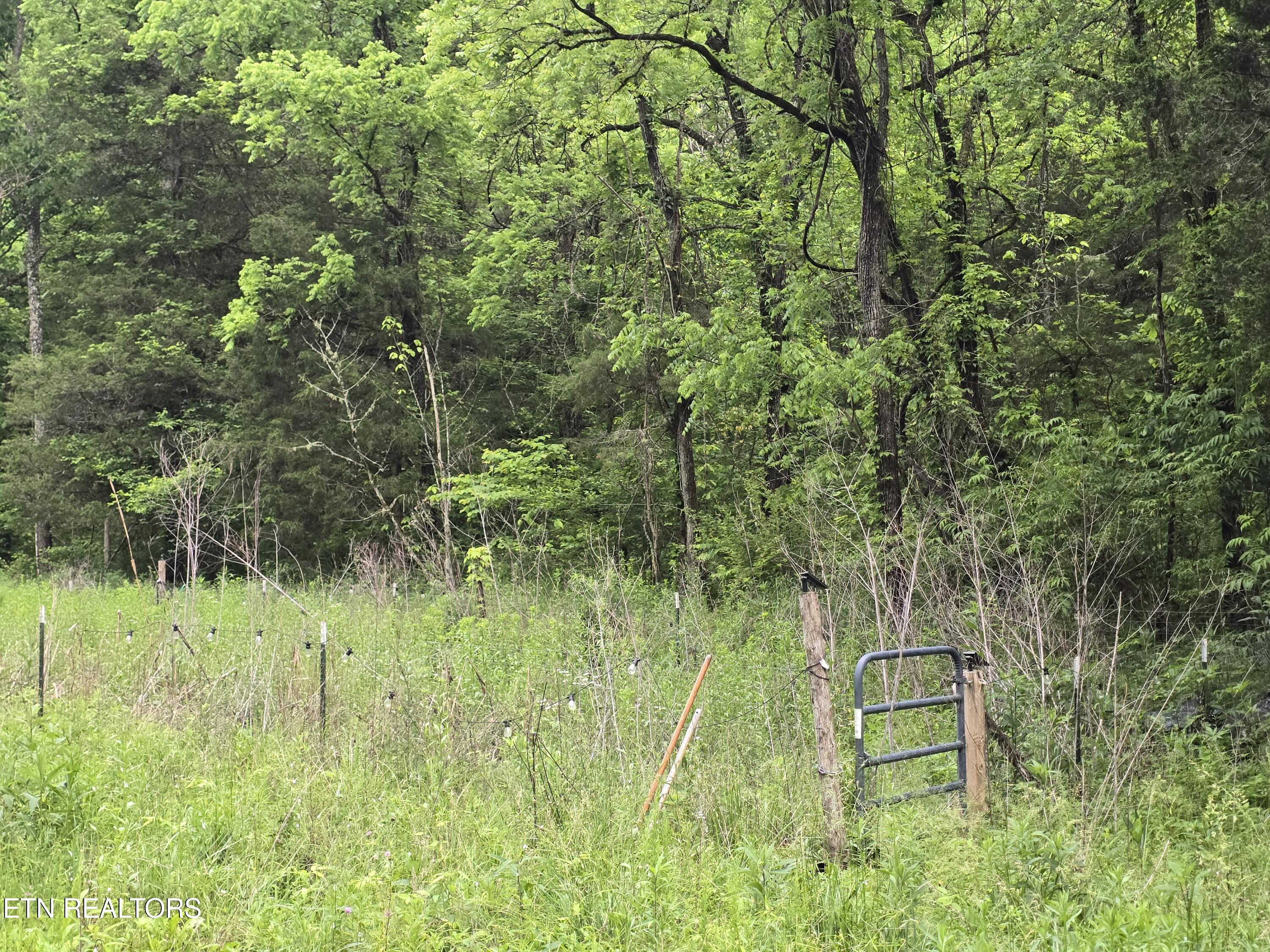 2615 Stoney Fork Road Sneedville TN 37869