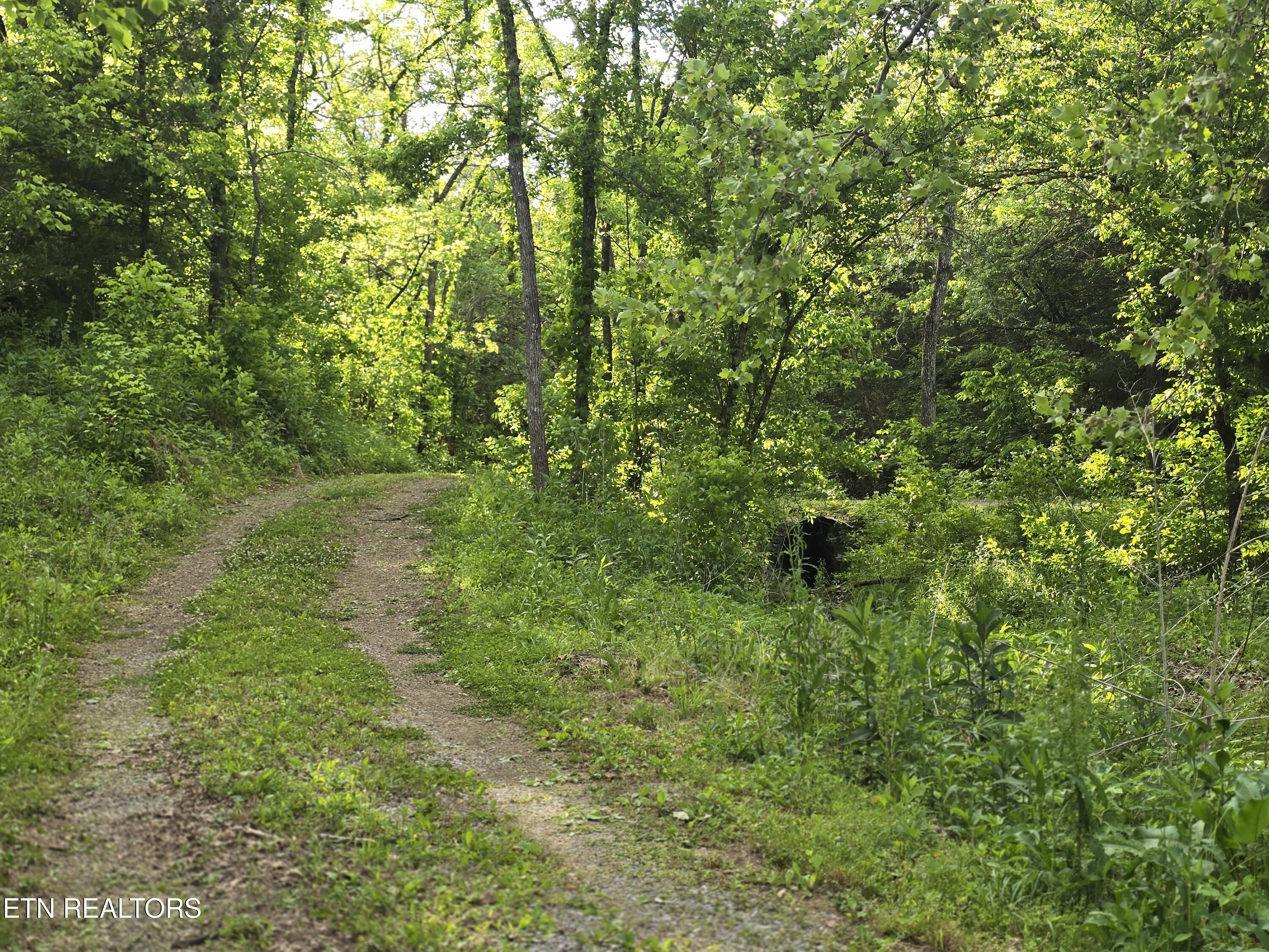 2615 Stoney Fork Road Sneedville TN 37869