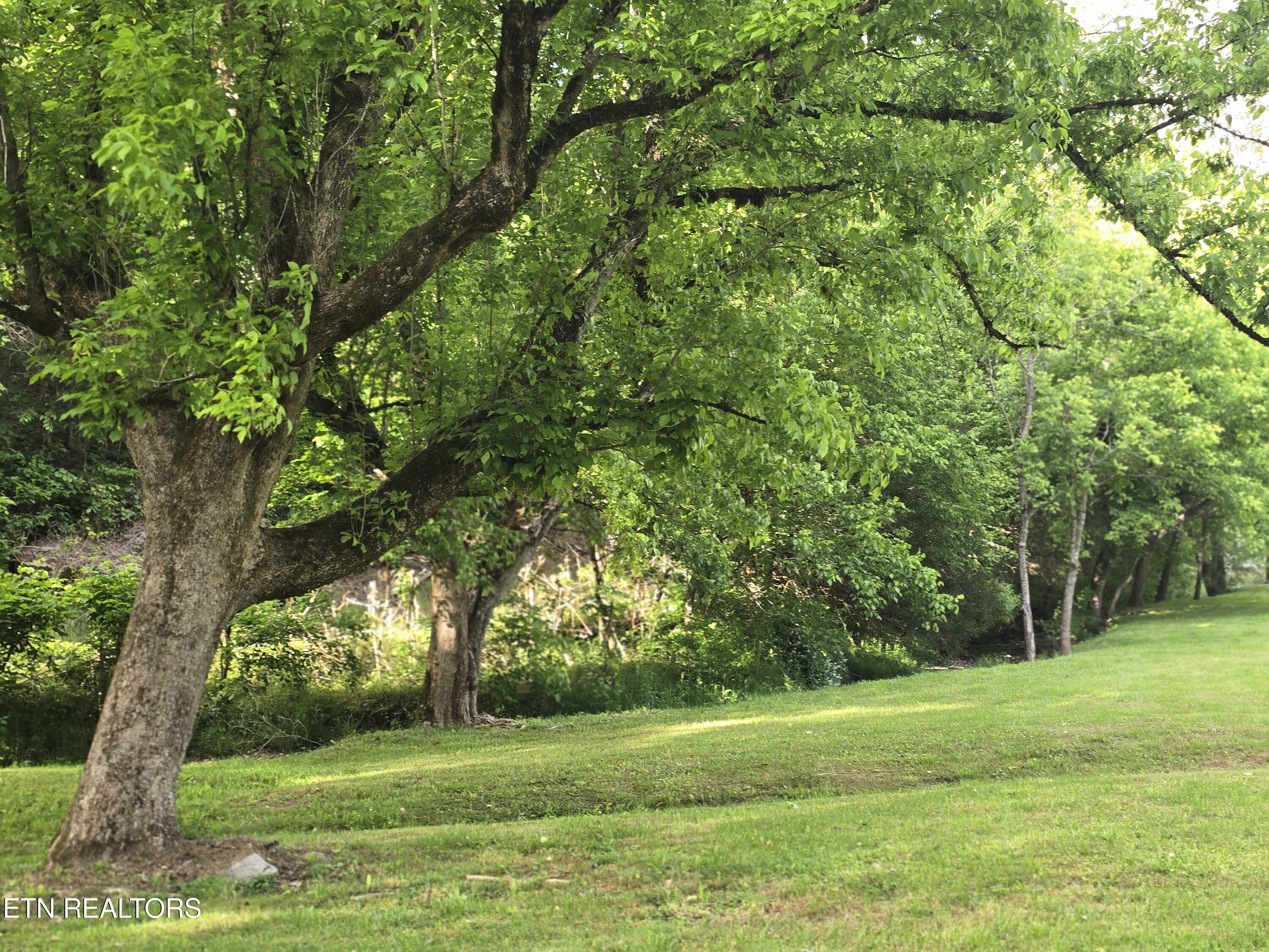 2615 Stoney Fork Road Sneedville TN 37869