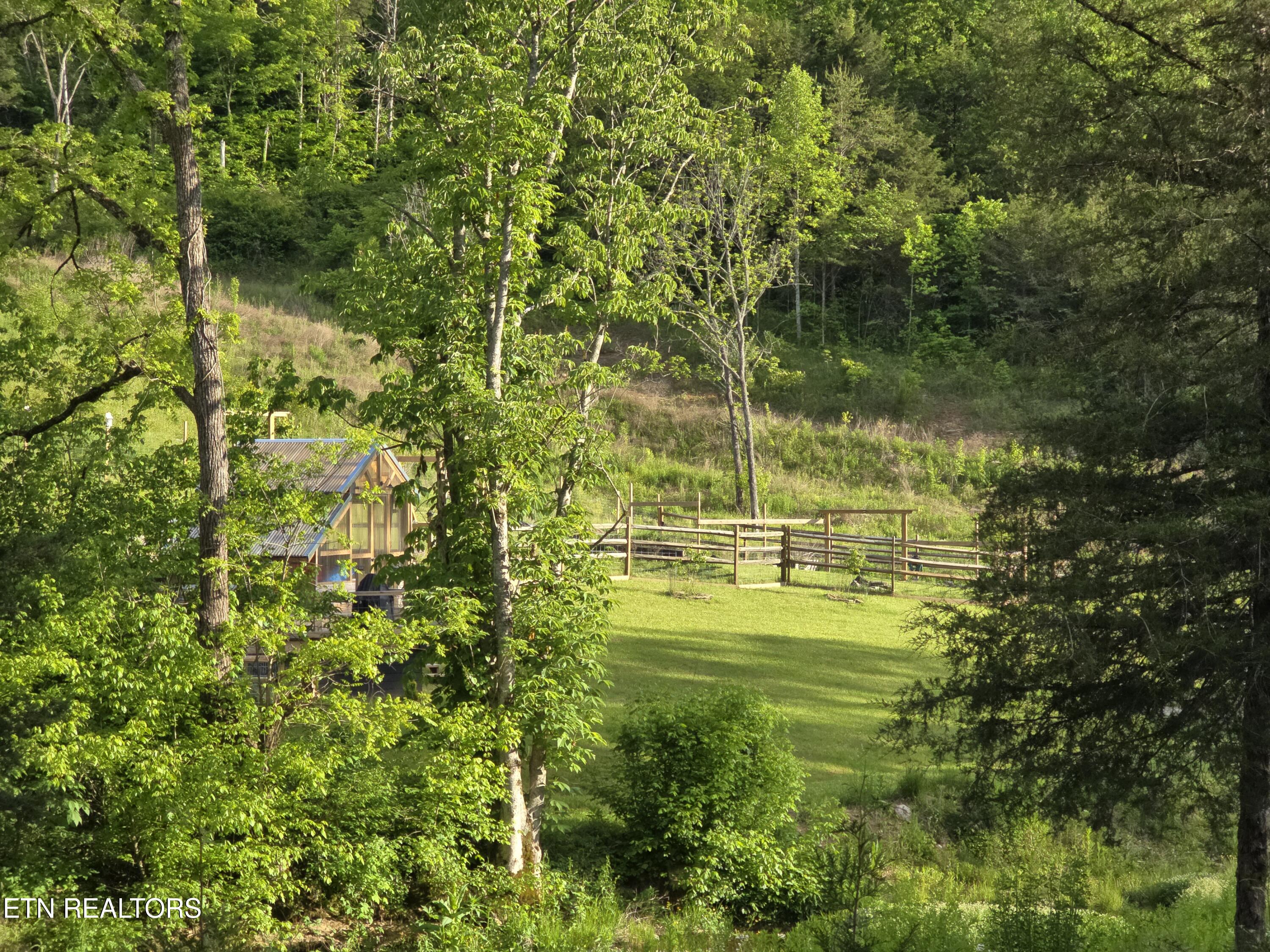 2615 Stoney Fork Road Sneedville TN 37869