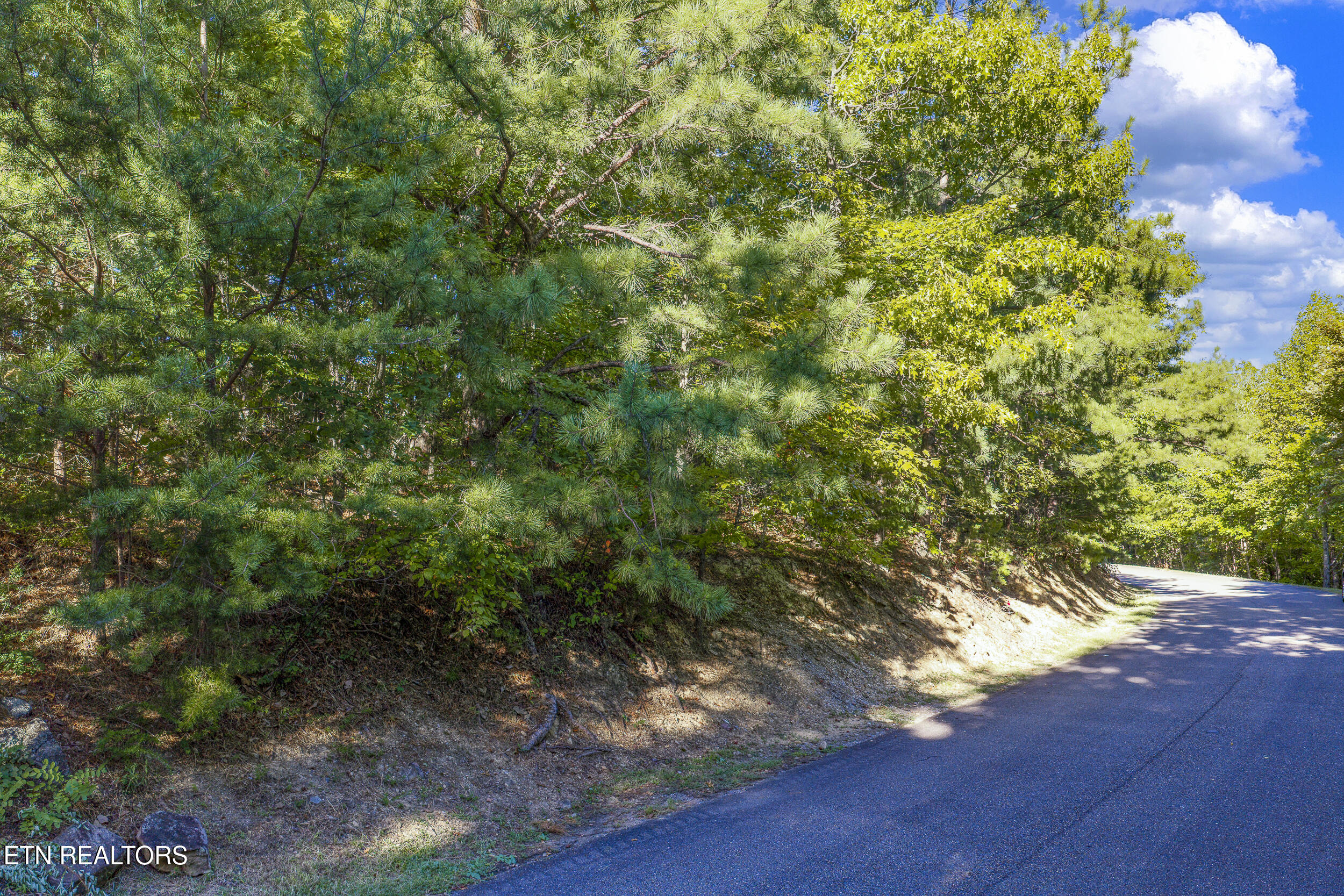 Laurel Top Way Sevierville TN 37862