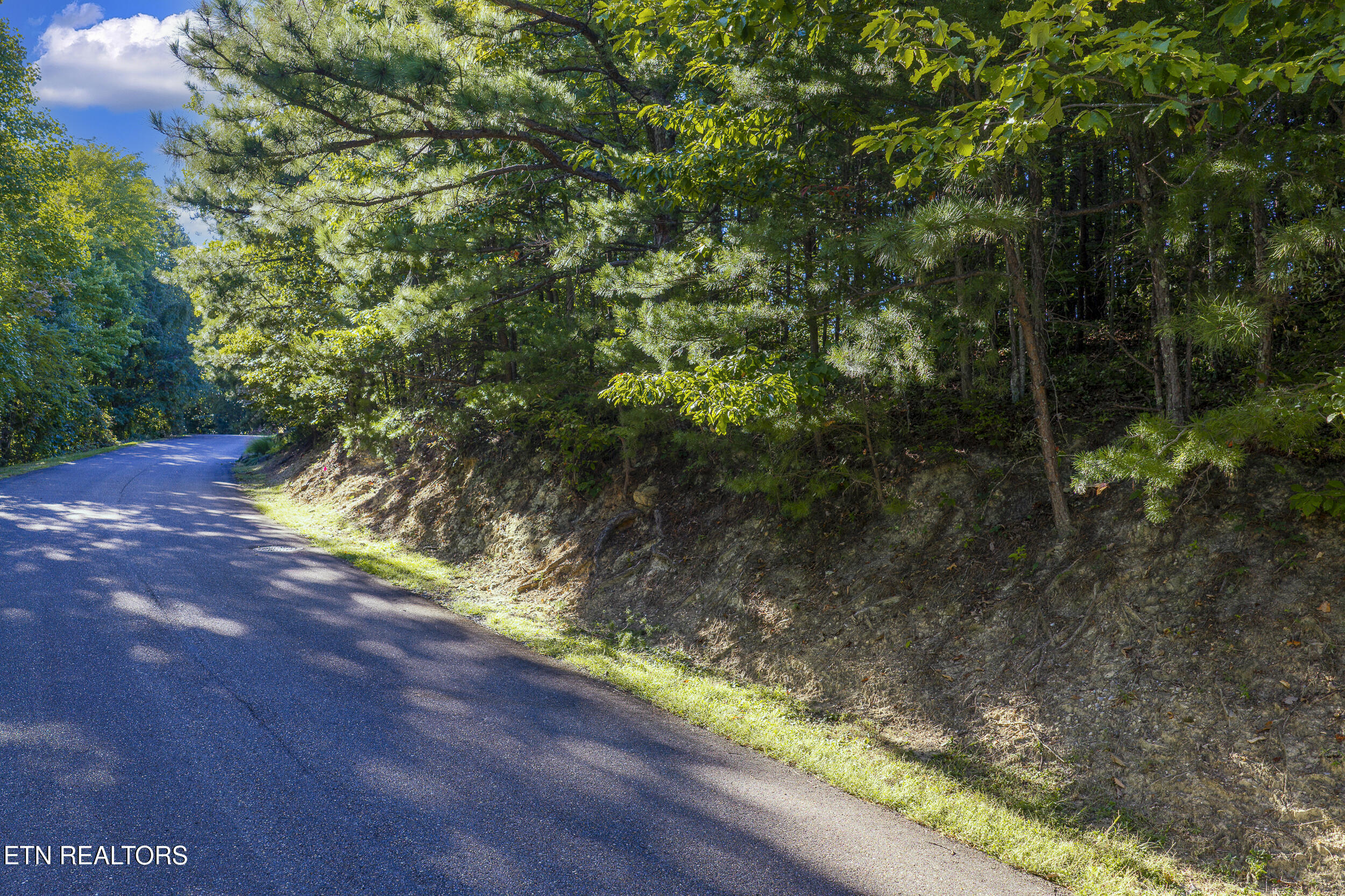 Laurel Top Way Sevierville TN 37862