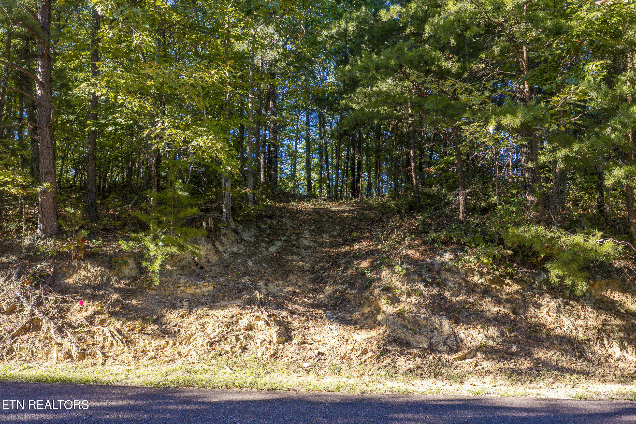 Laurel Top Way Sevierville TN 37862
