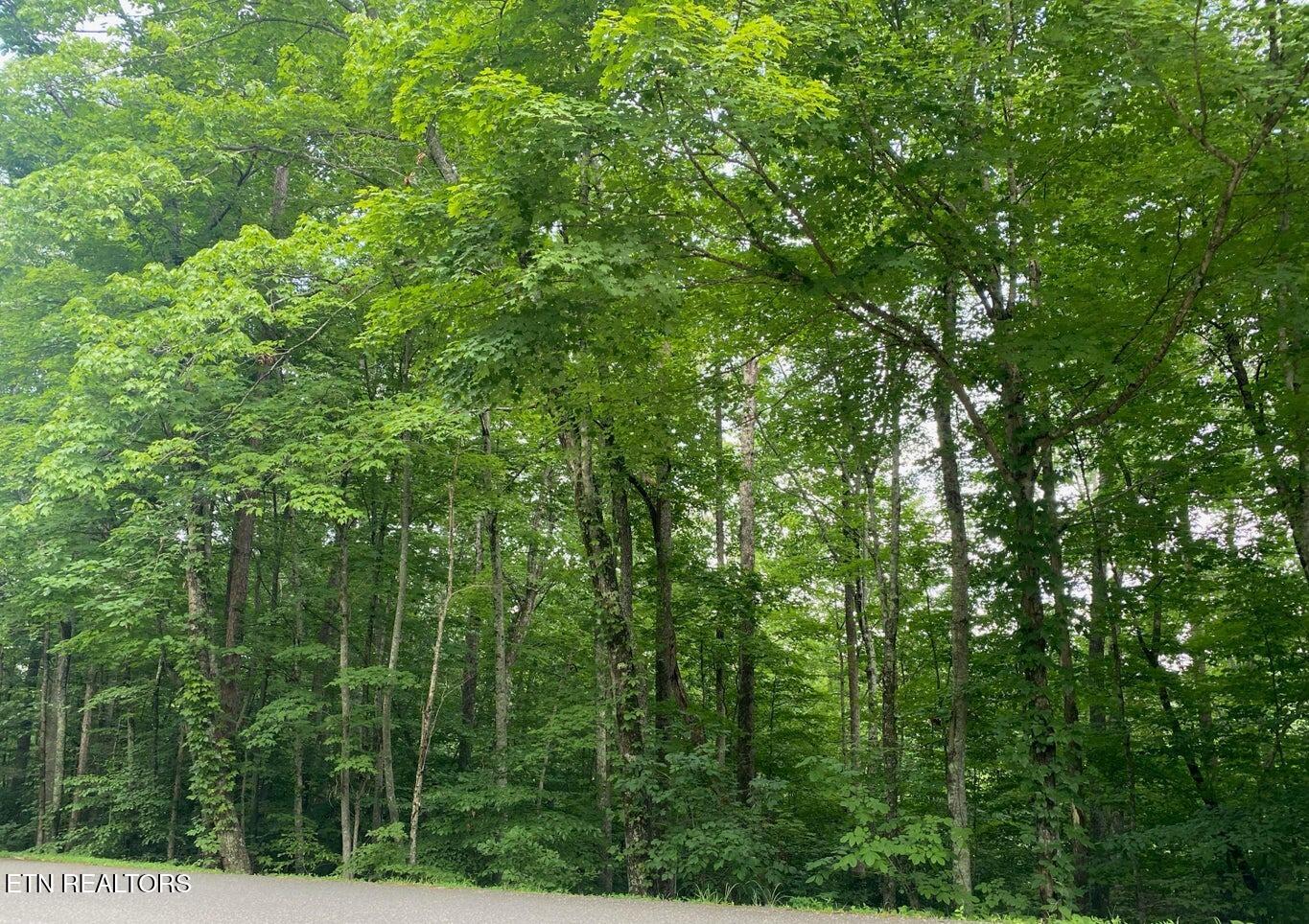 0 Cove Norris Road Caryville TN 37714