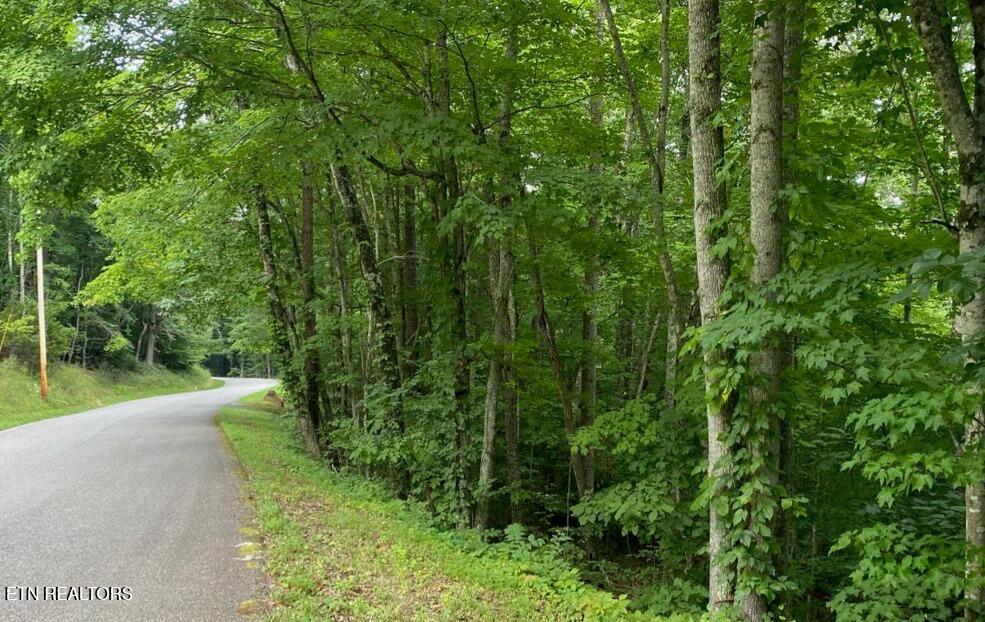 0 Cove Norris Road Caryville TN 37714