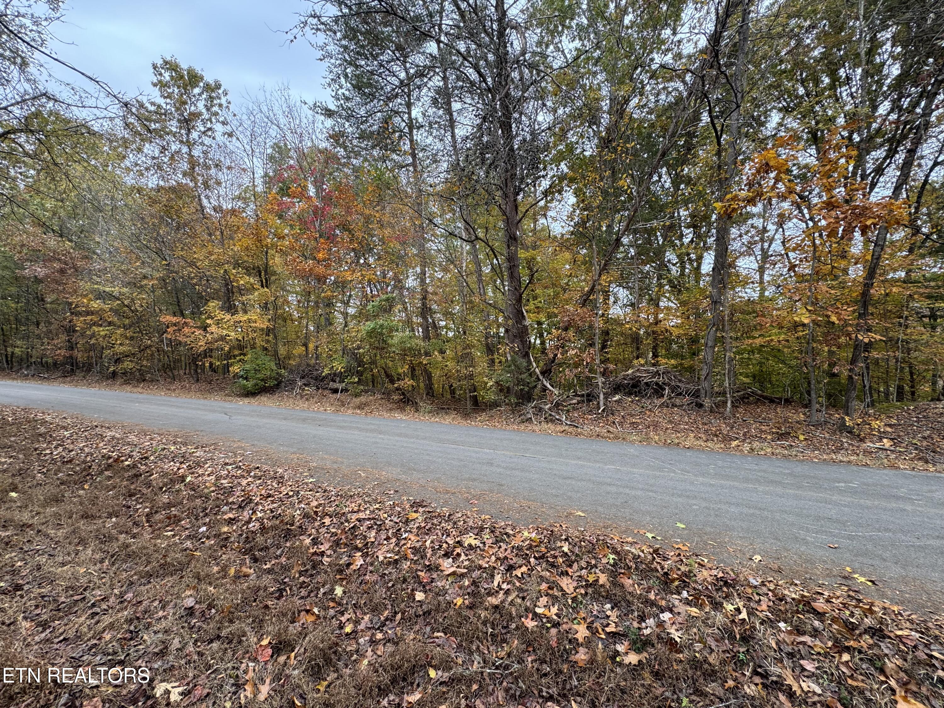 Mountain View Lane Lane Baneberry TN 37890