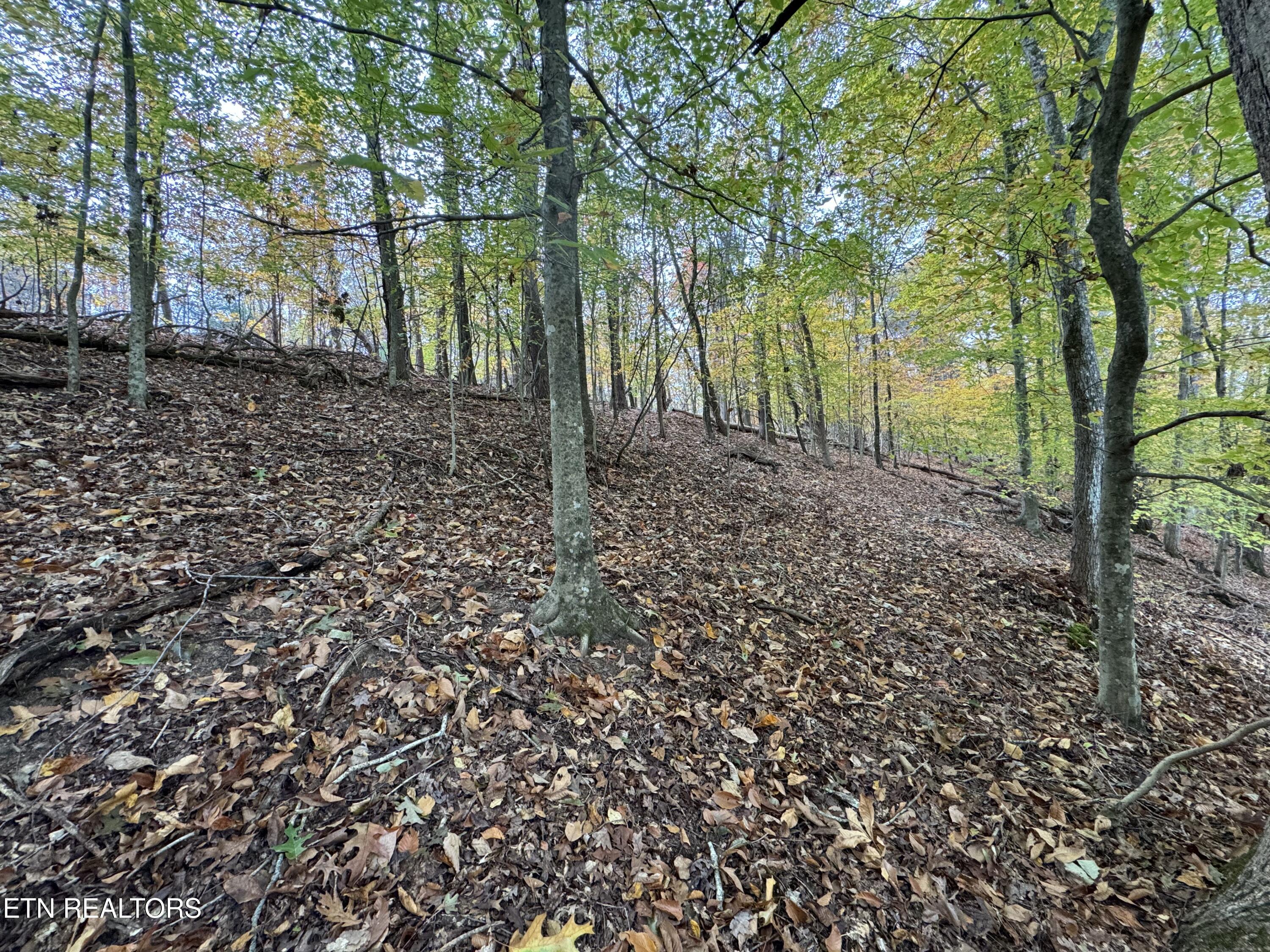 Mountain View Lane Lane Baneberry TN 37890