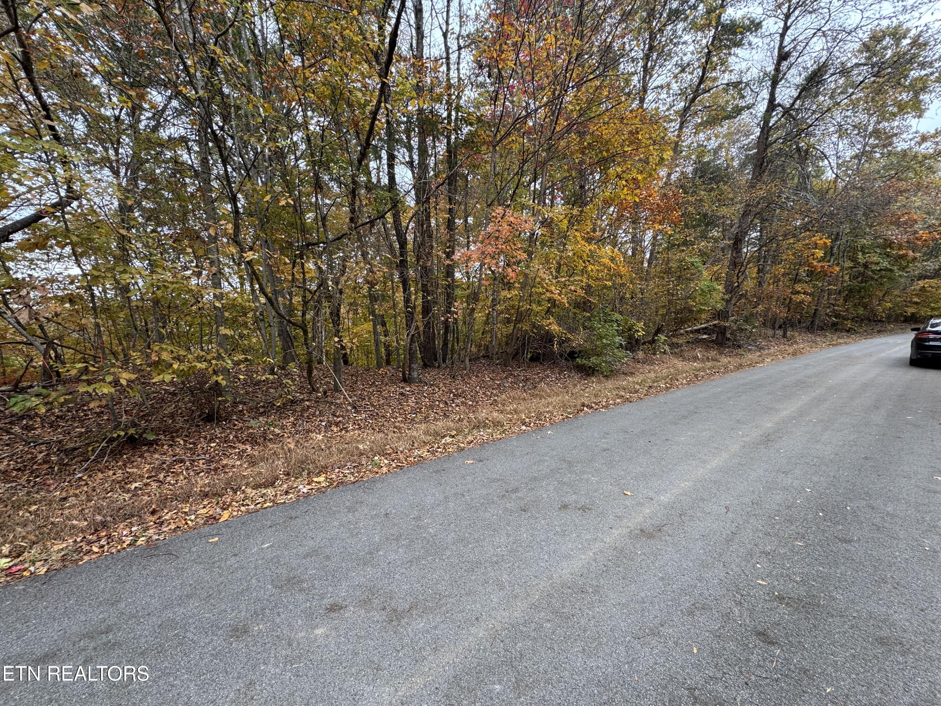 Mountain View Lane Lane Baneberry TN 37890