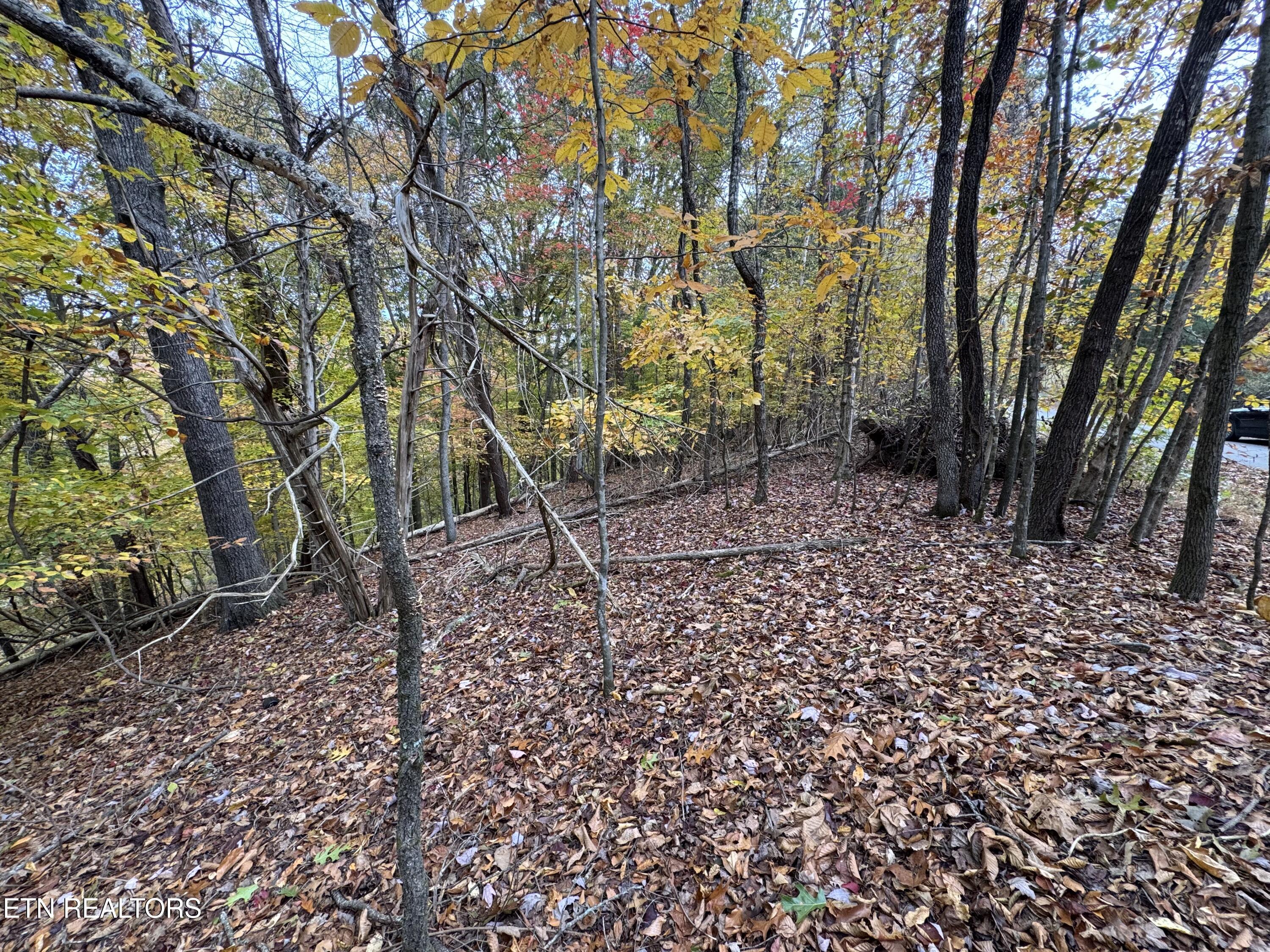 Mountain View Lane Lane Baneberry TN 37890