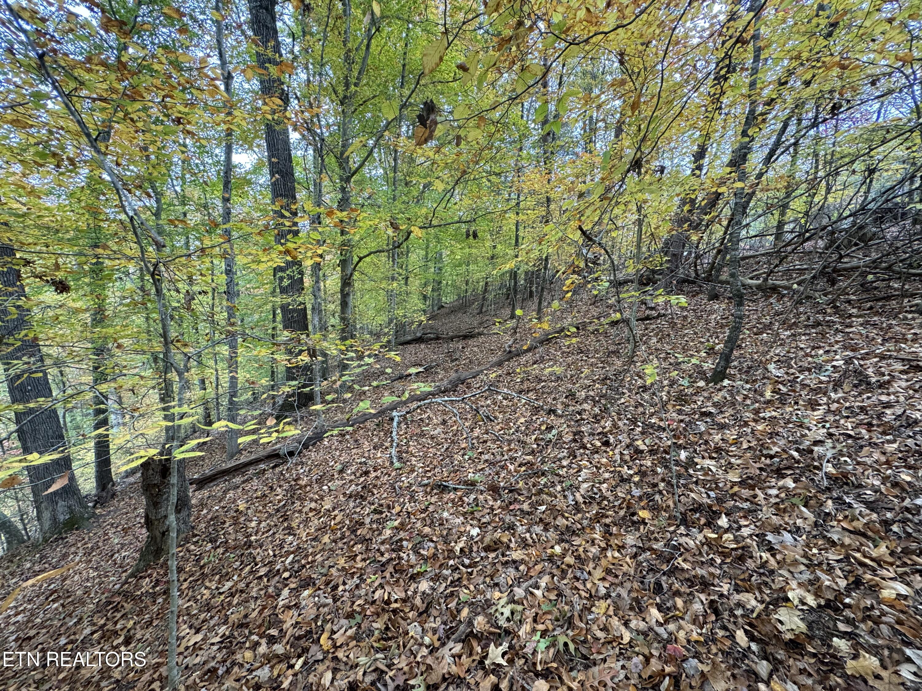 Mountain View Lane Lane Baneberry TN 37890