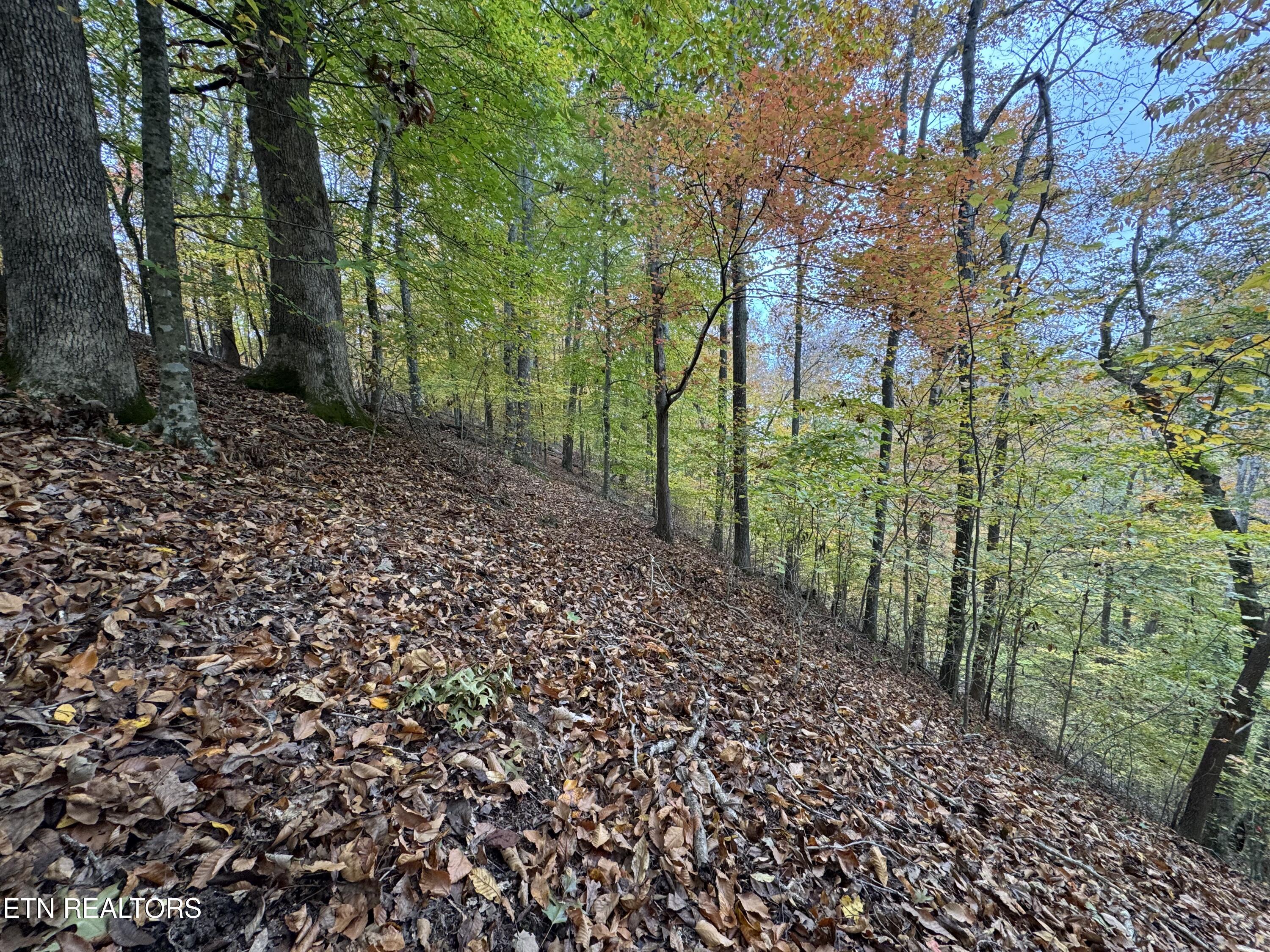 Mountain View Lane Lane Baneberry TN 37890