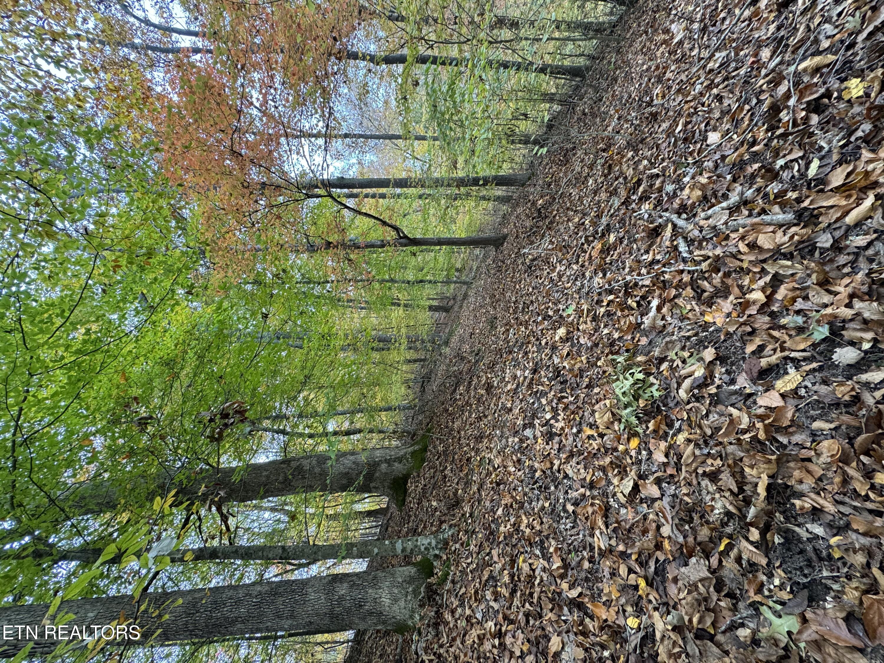 Mountain View Lane Lane Baneberry TN 37890