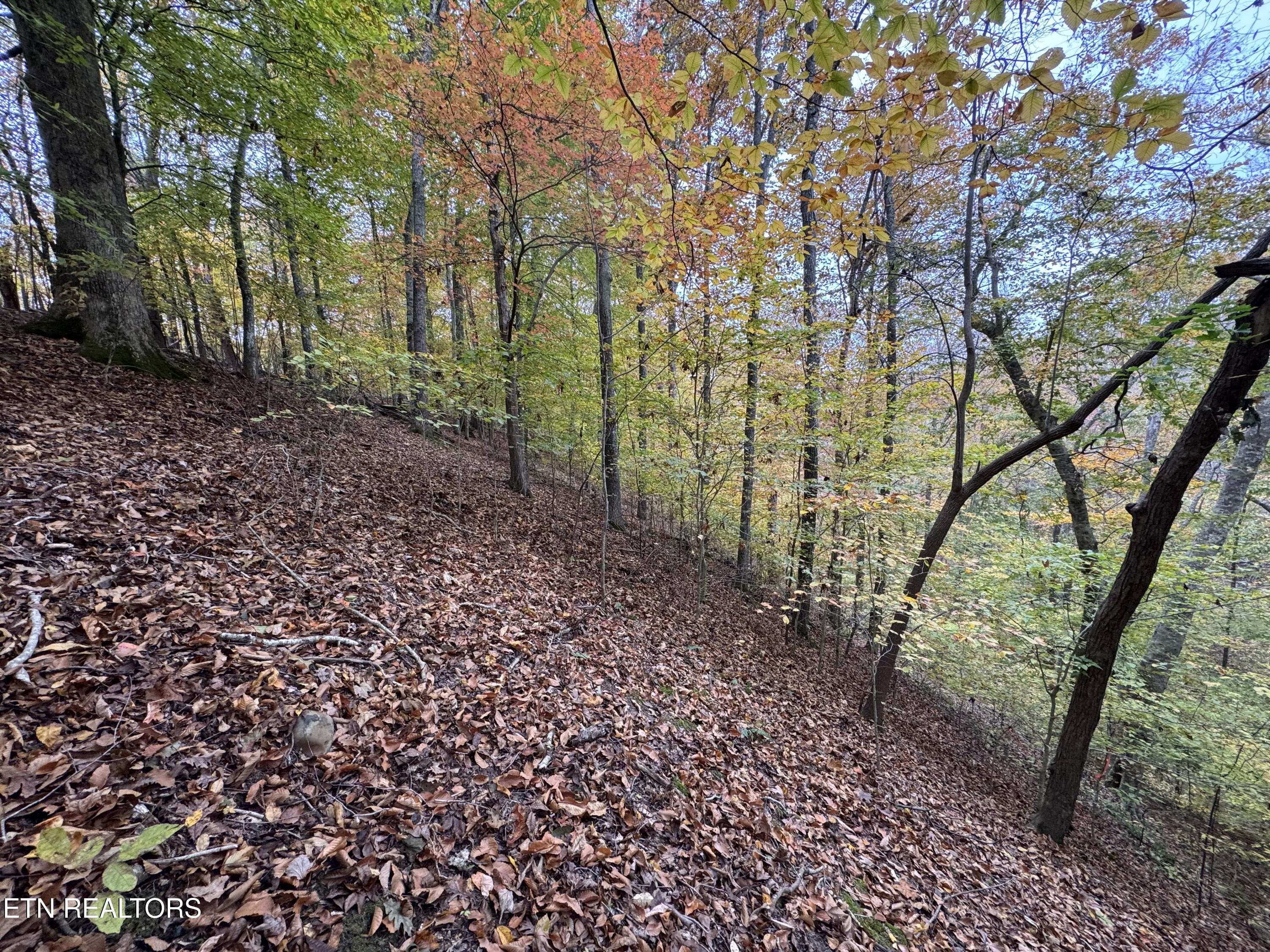 Mountain View Lane Lane Baneberry TN 37890