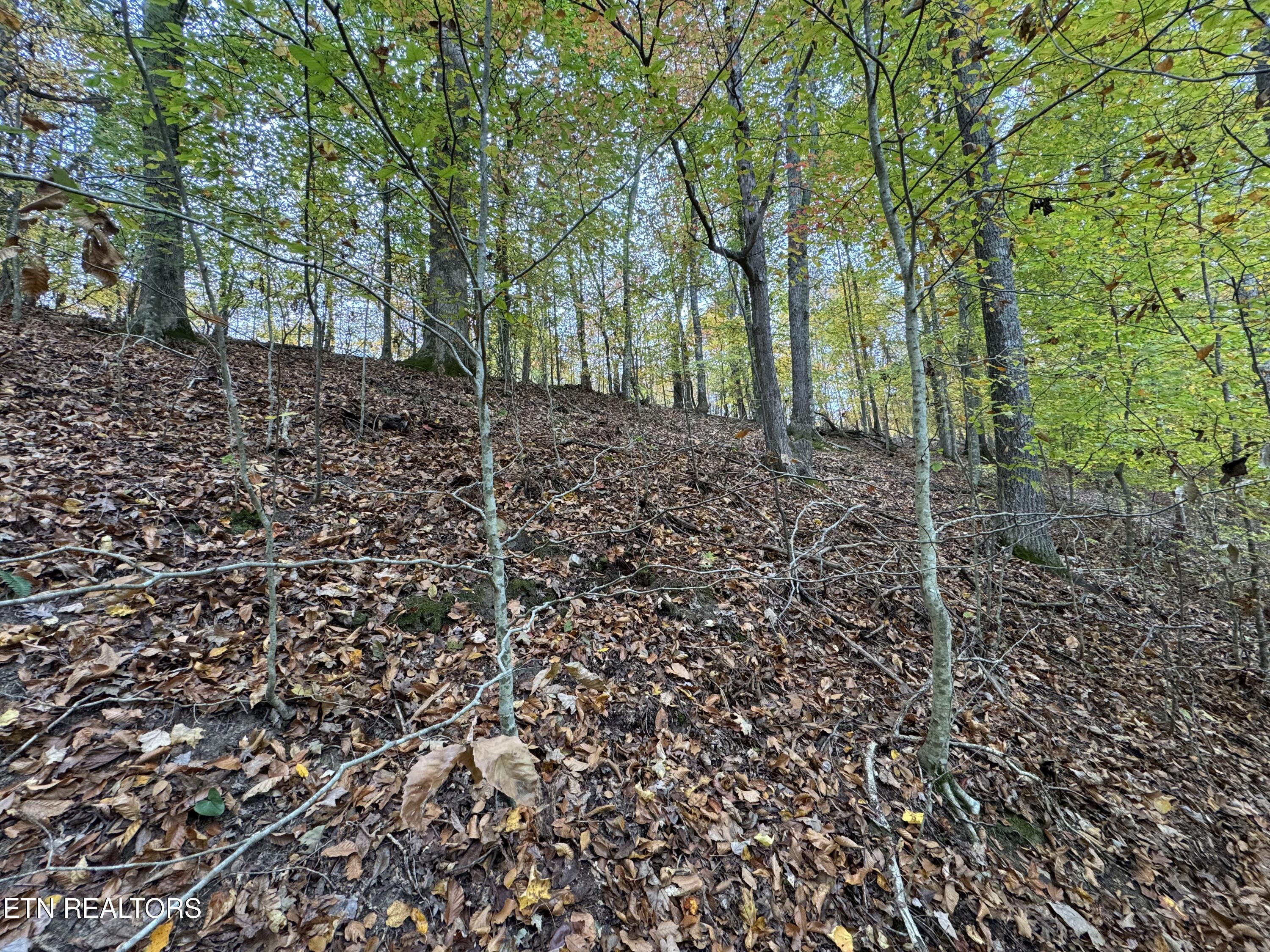 Mountain View Lane Lane Baneberry TN 37890