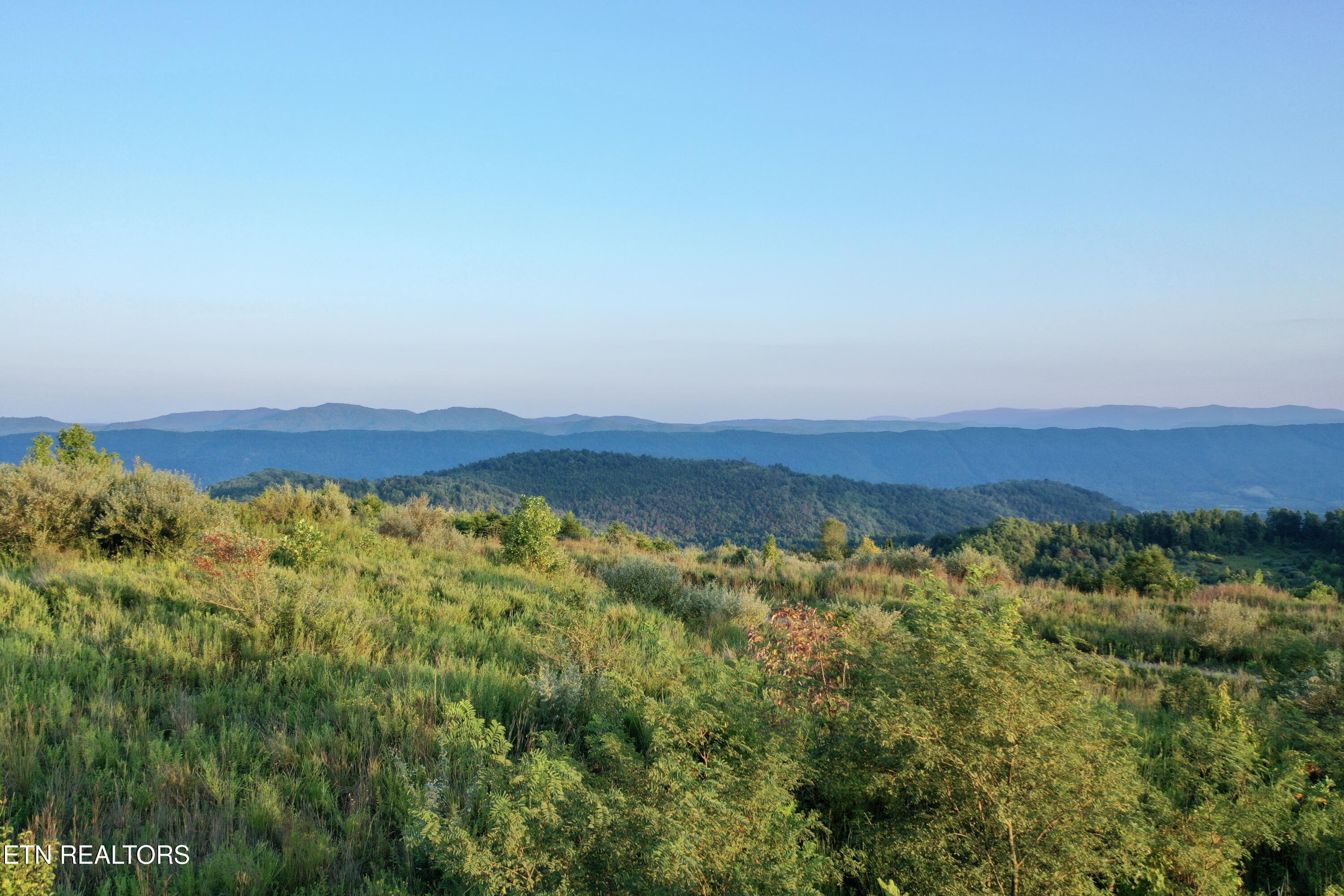 207 Lick Fork Lane Pioneer TN 37847