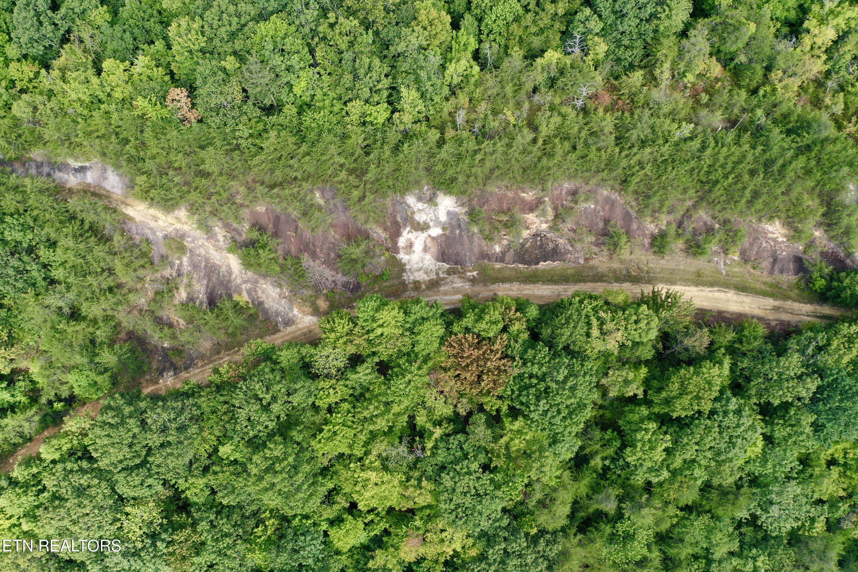 207 Lick Fork Lane Pioneer TN 37847
