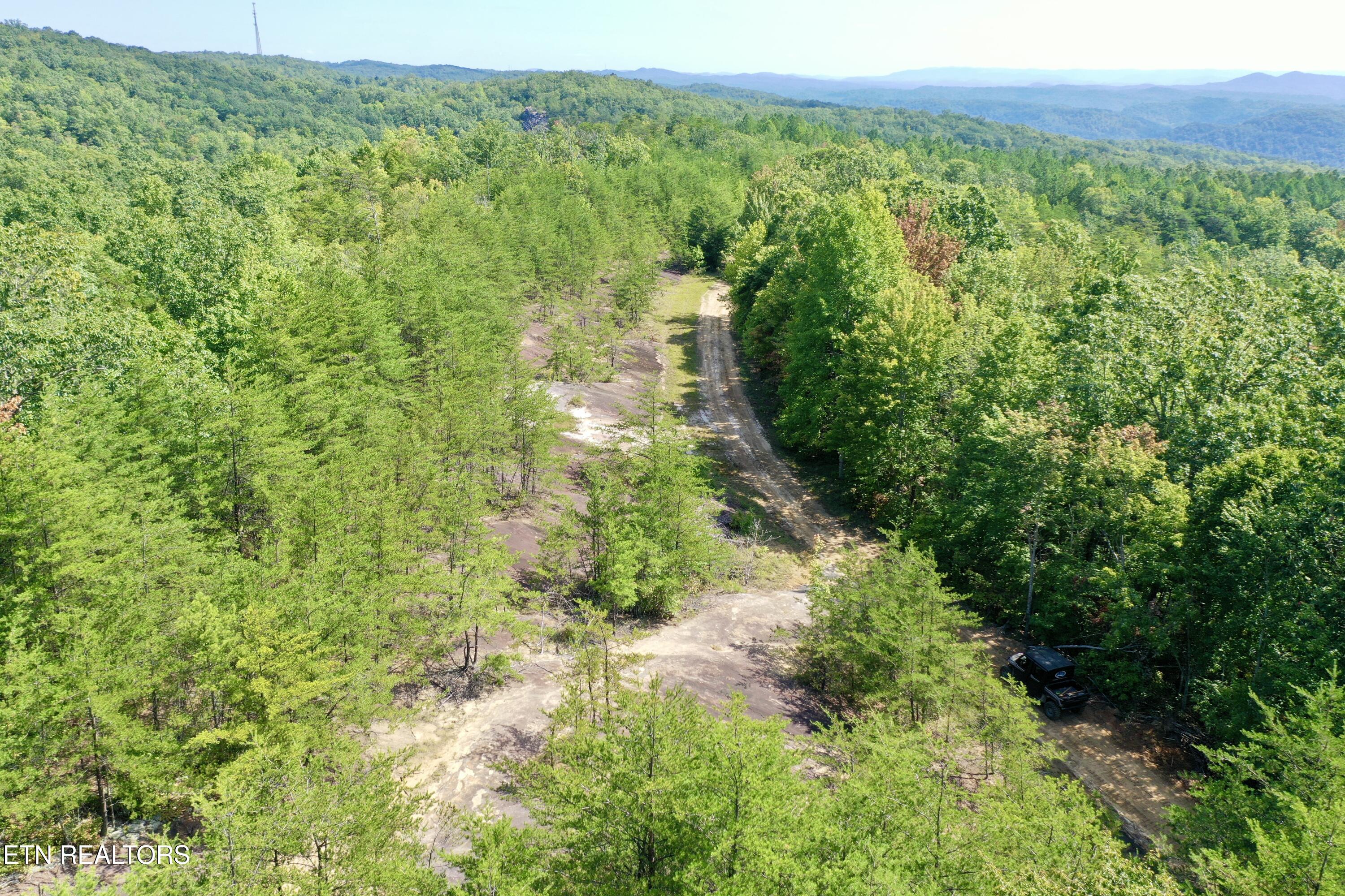 207 Lick Fork Lane Pioneer TN 37847