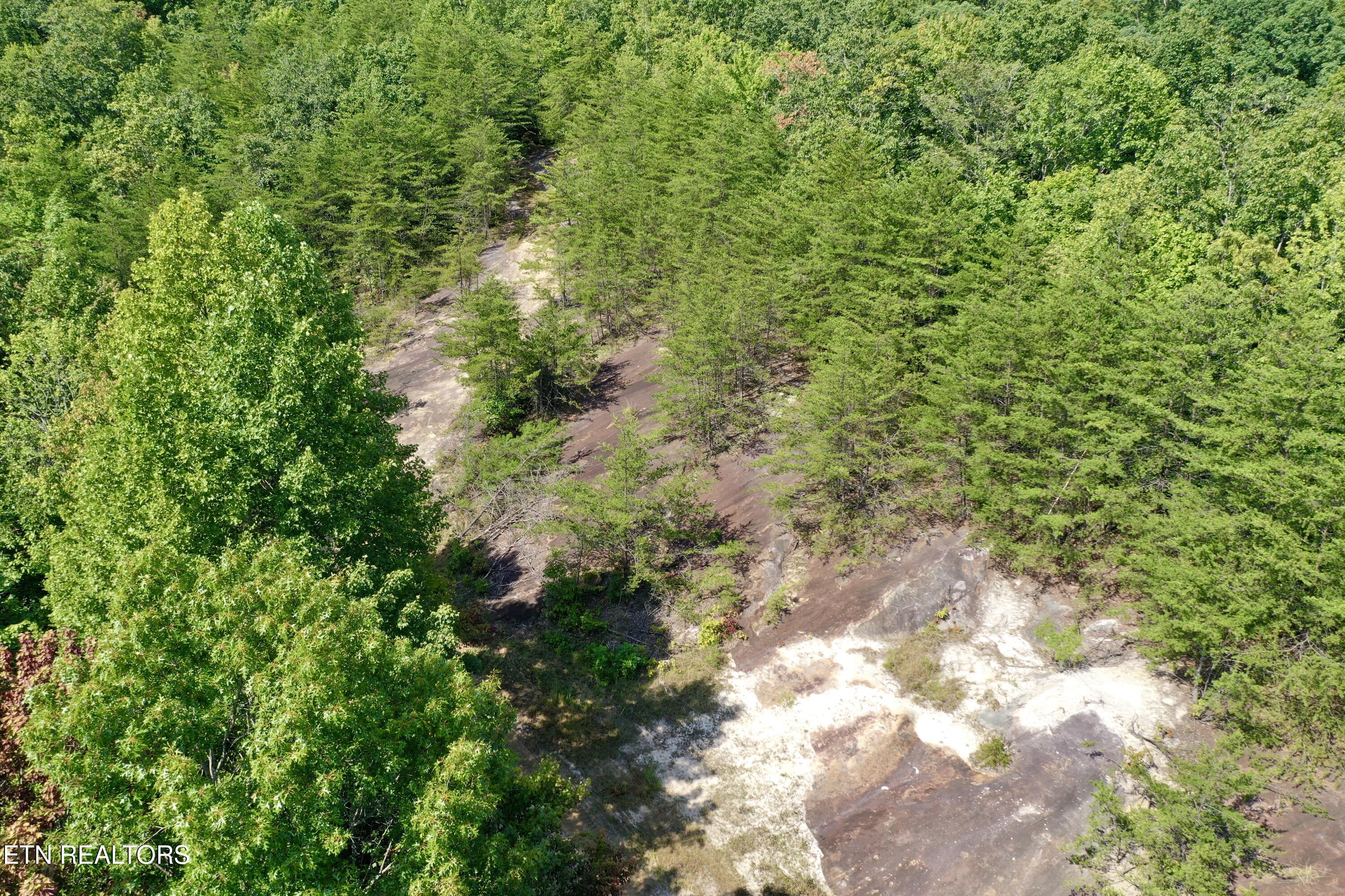 207 Lick Fork Lane Pioneer TN 37847