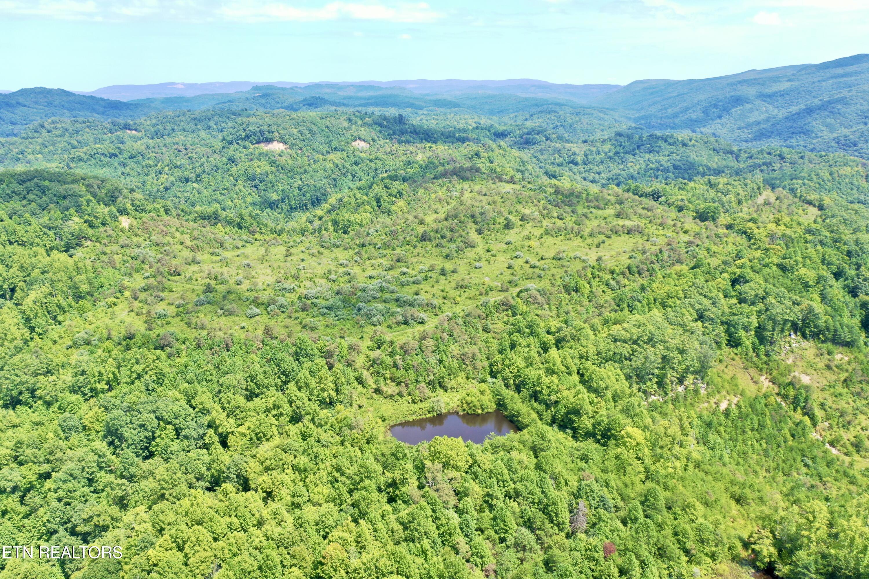 207 Lick Fork Lane Pioneer TN 37847