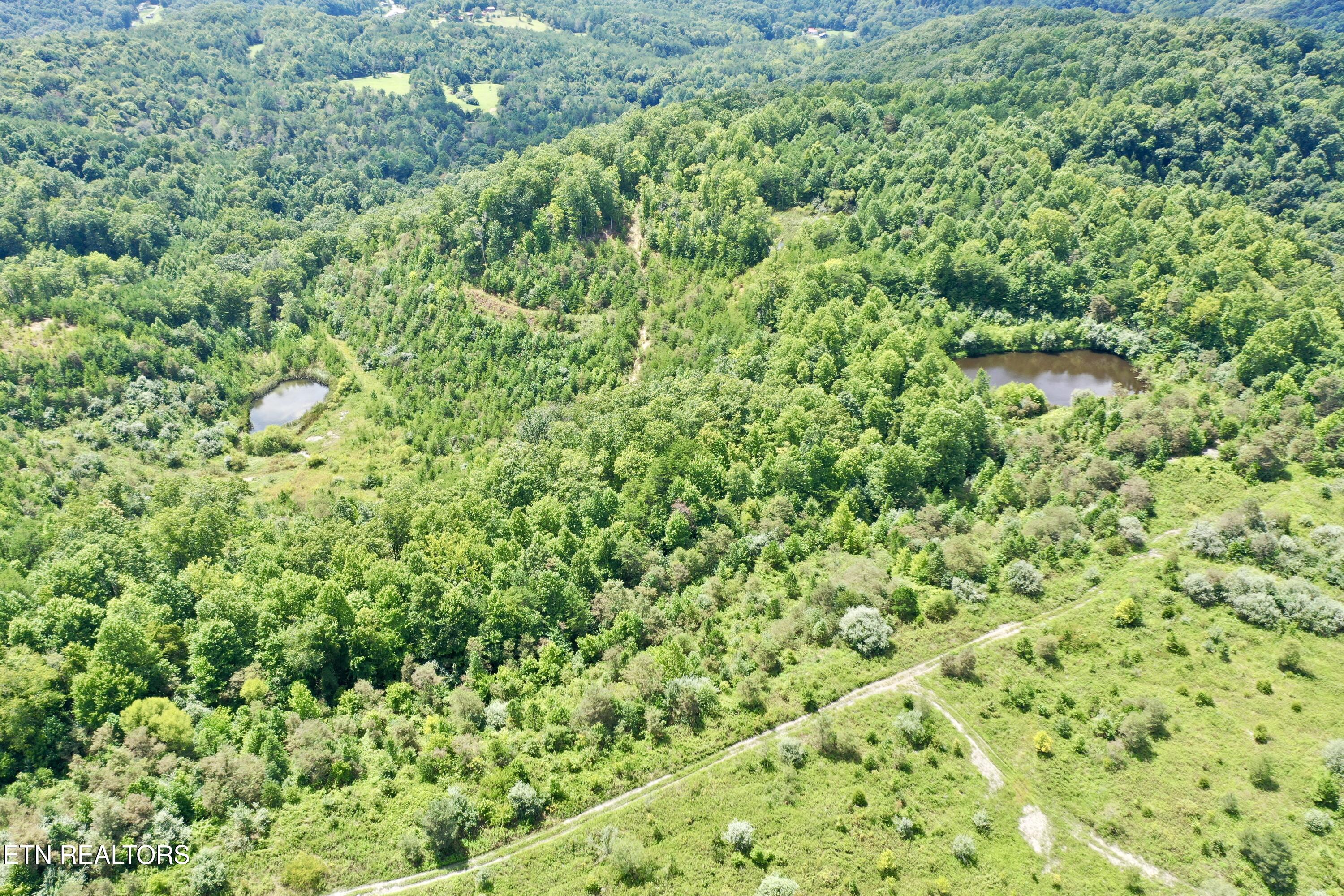 207 Lick Fork Lane Pioneer TN 37847
