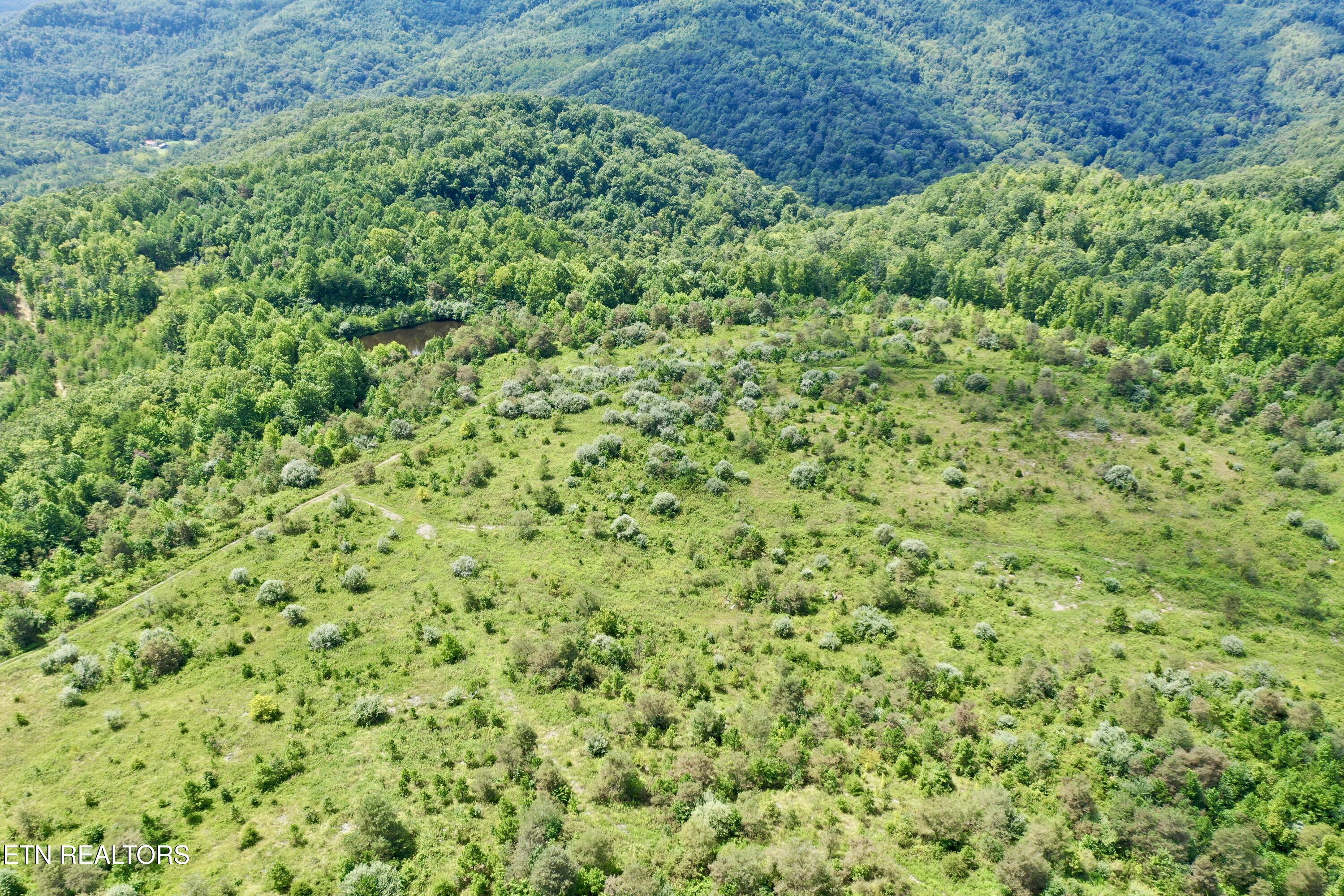 207 Lick Fork Lane Pioneer TN 37847