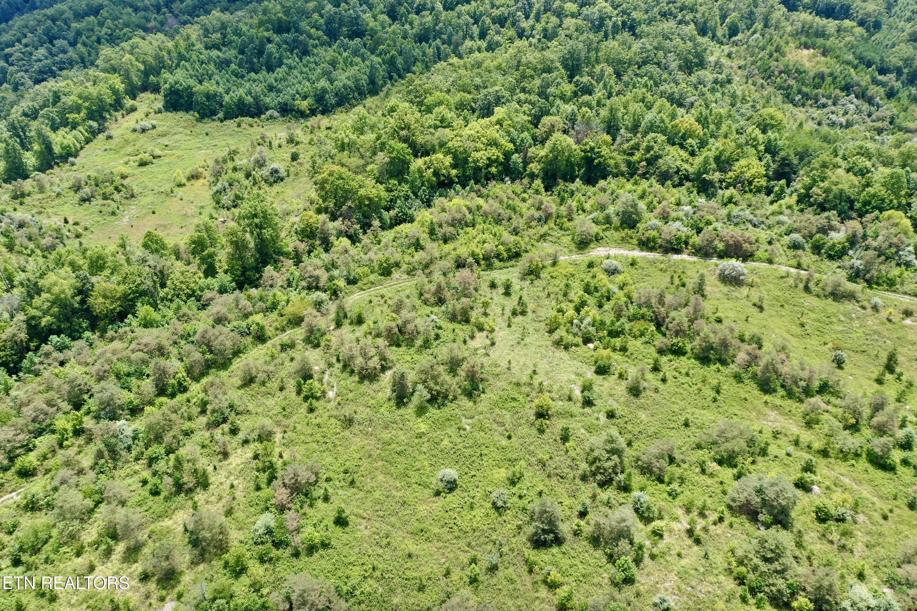 207 Lick Fork Lane Pioneer TN 37847