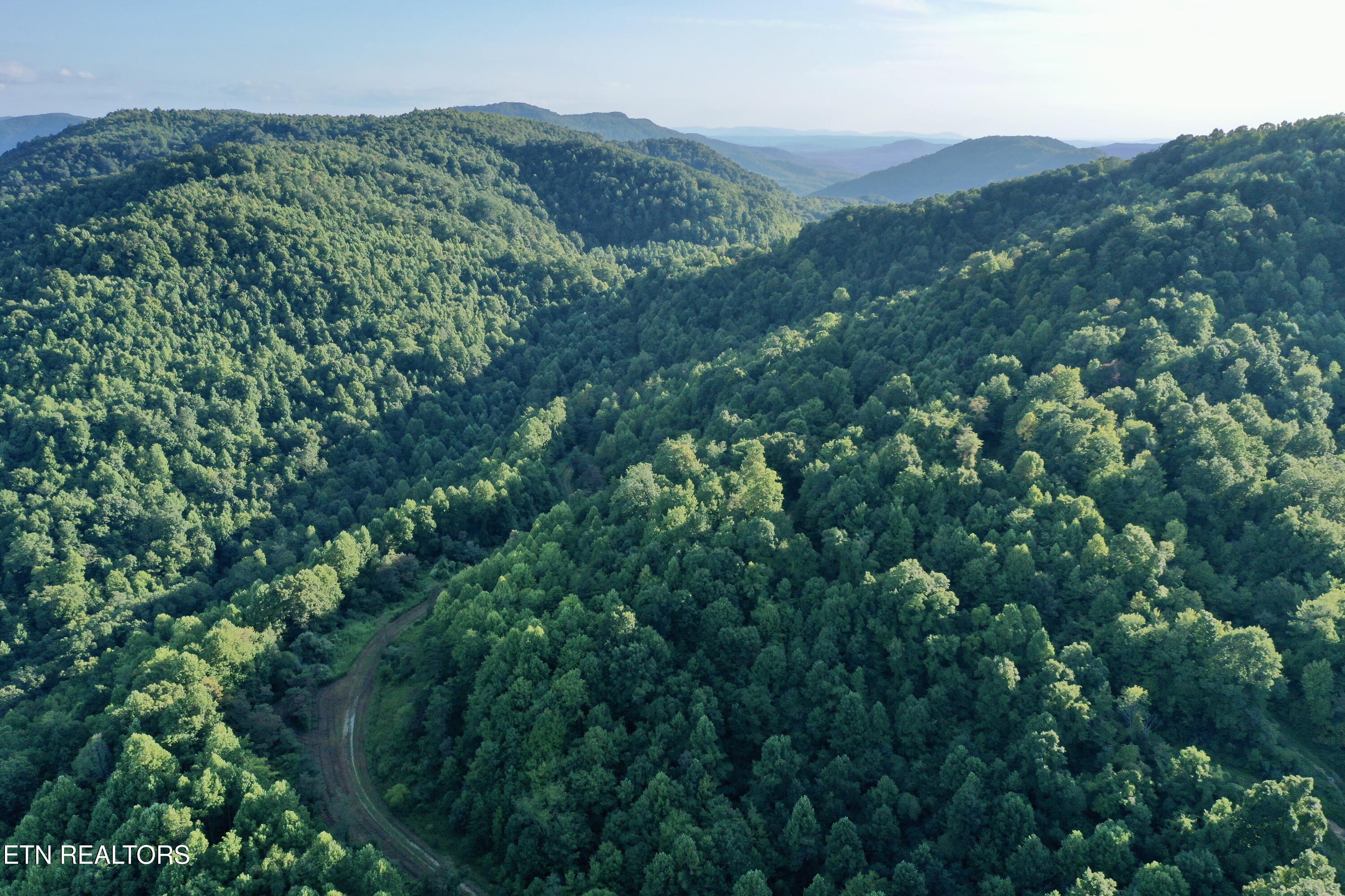 207 Lick Fork Lane Pioneer TN 37847