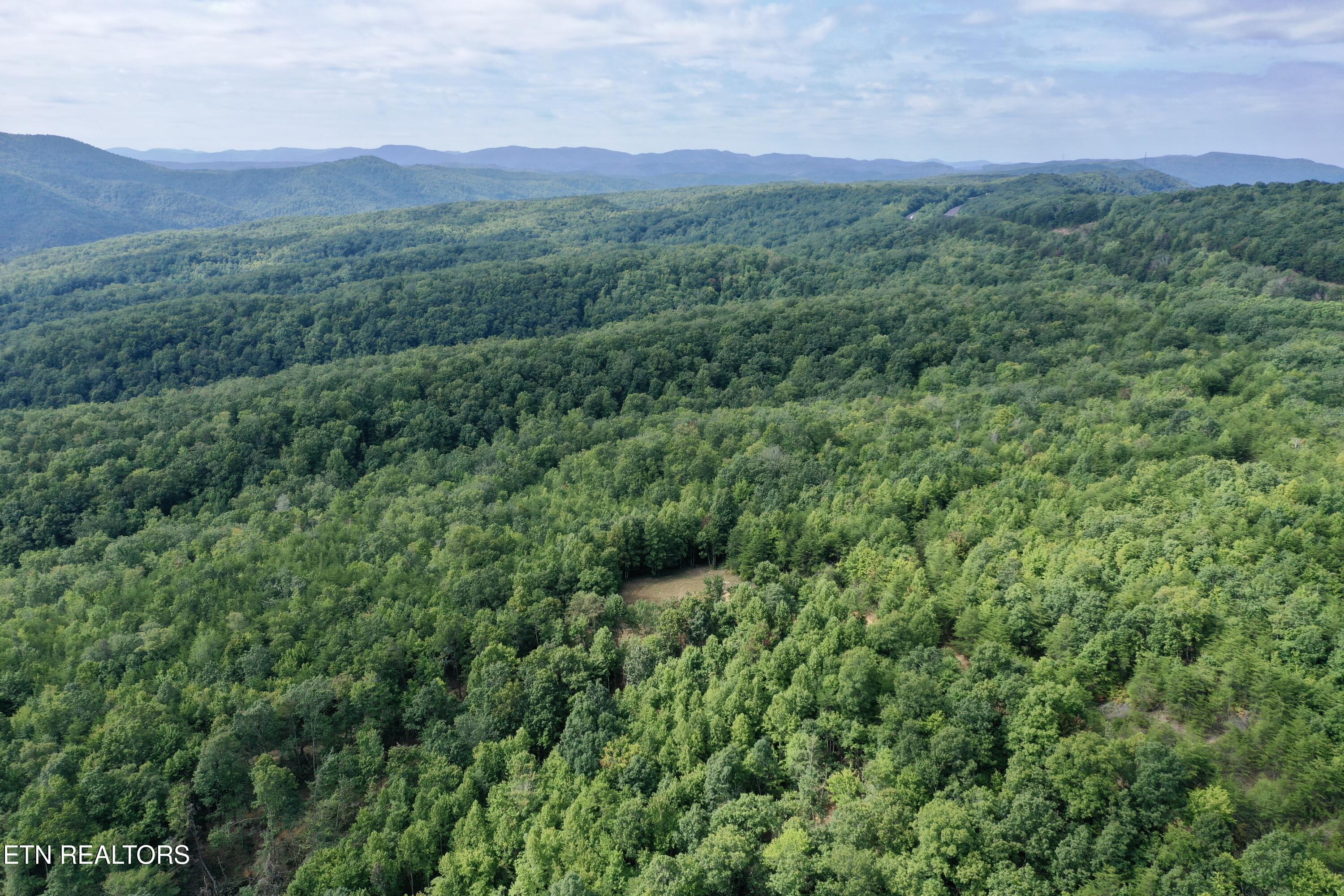 207 Lick Fork Lane Pioneer TN 37847